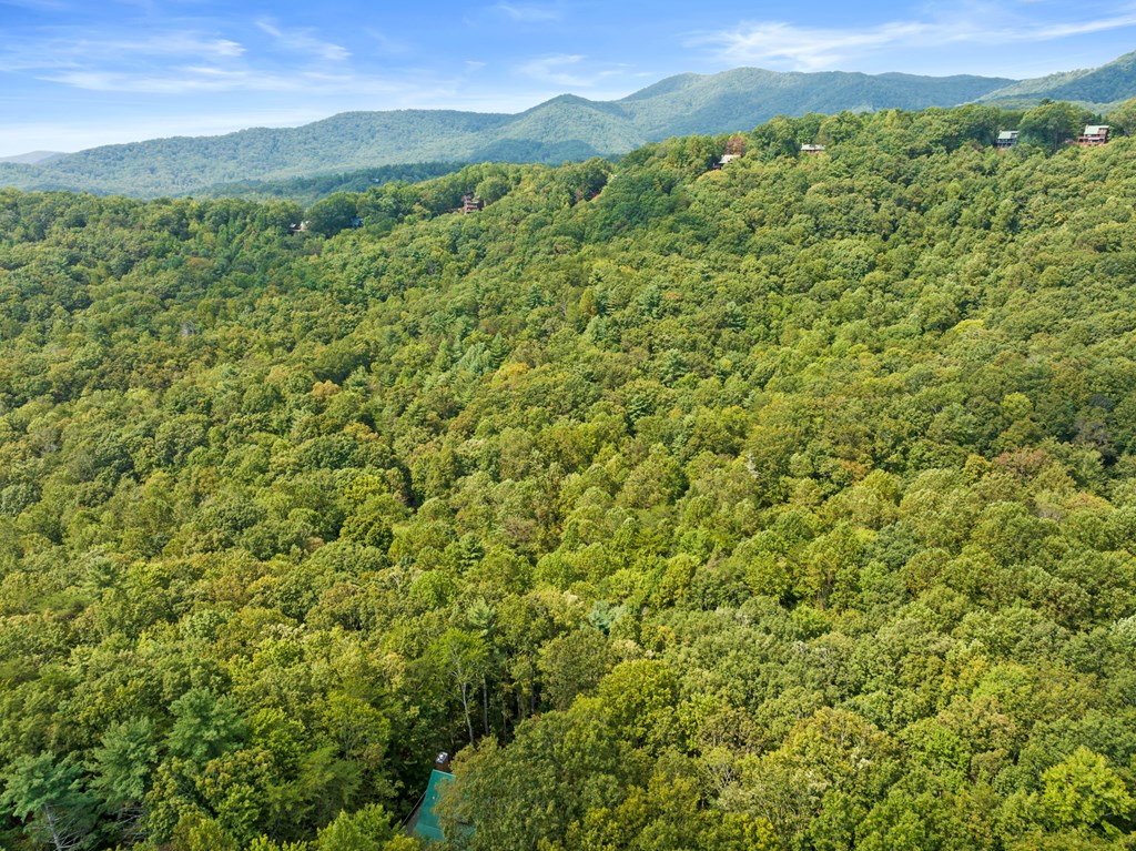 Aerial view of forested mountain ridges with scattered homes beneath a blue sky.