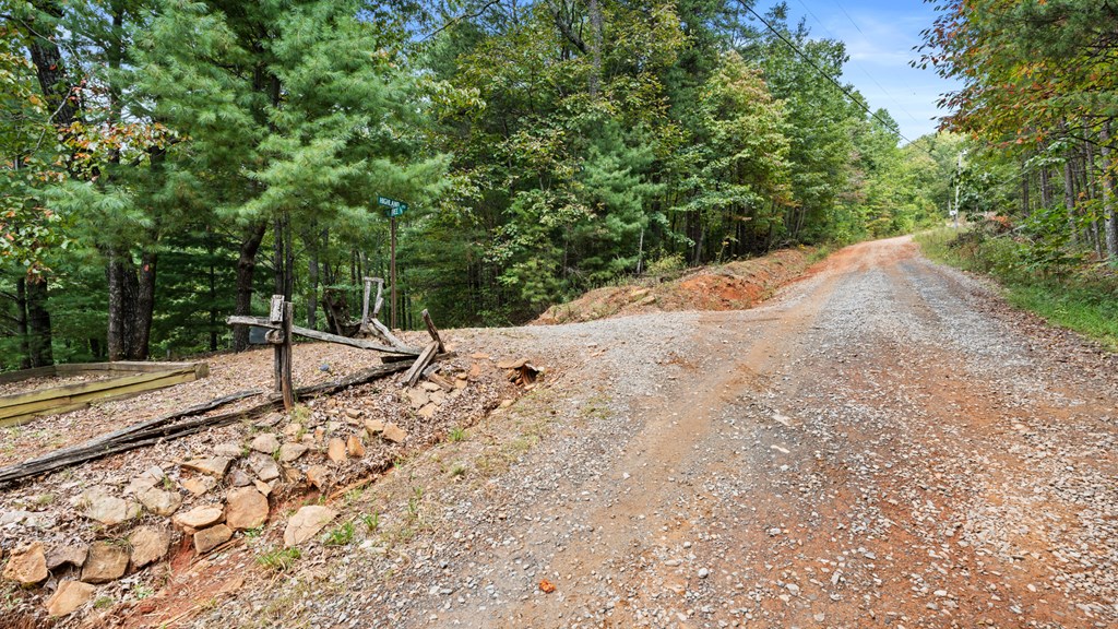 Gravel road winding uphill through dense woods beside a rustic wooden fence.