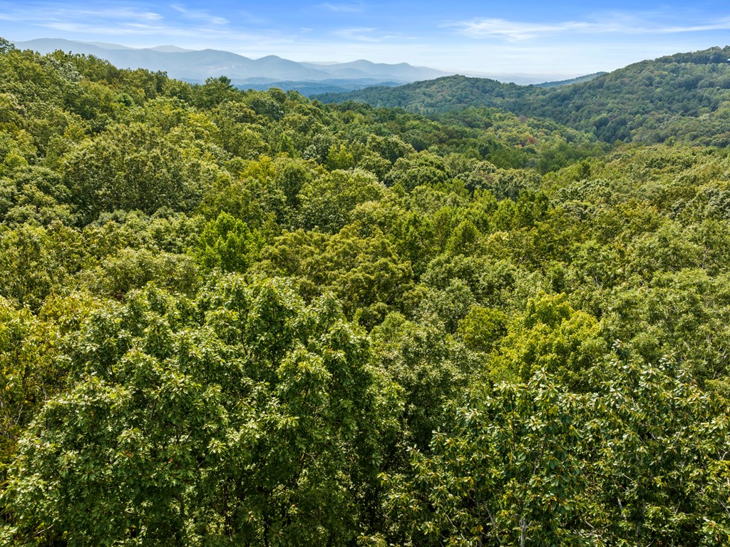 Aerial view of dense green forest stretching toward layered mountain ridges beneath a blue sky.