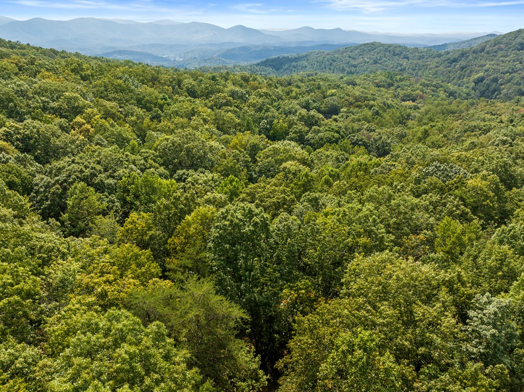 Aerial view over dense forest toward distant mountain ridges.