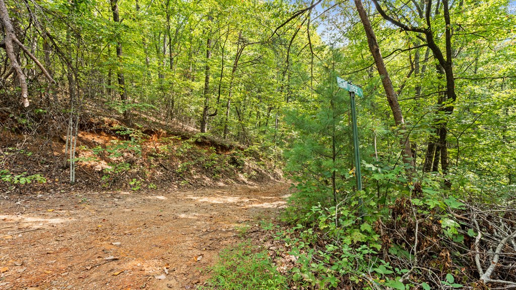 Wooded dirt road curving past a street sign beneath a dense green canopy.