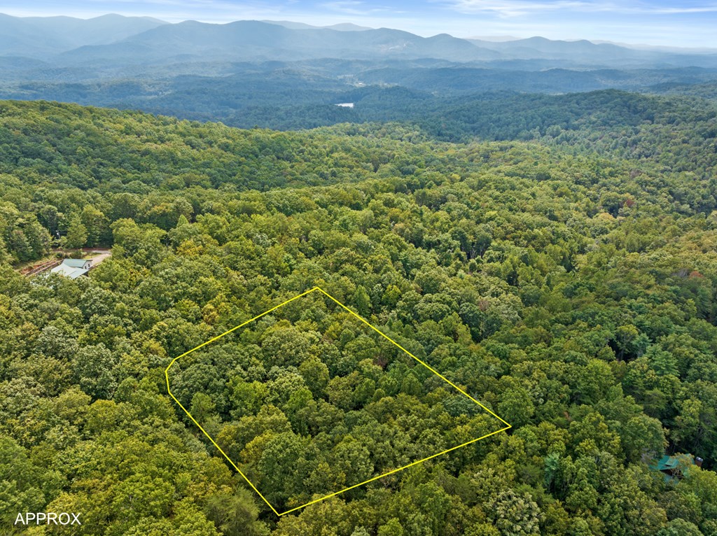 Aerial view of a wooded parcel outlined in yellow, surrounded by forest with distant mountain ranges.