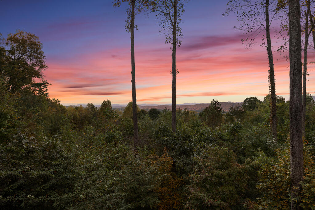 929 Overlook Drive