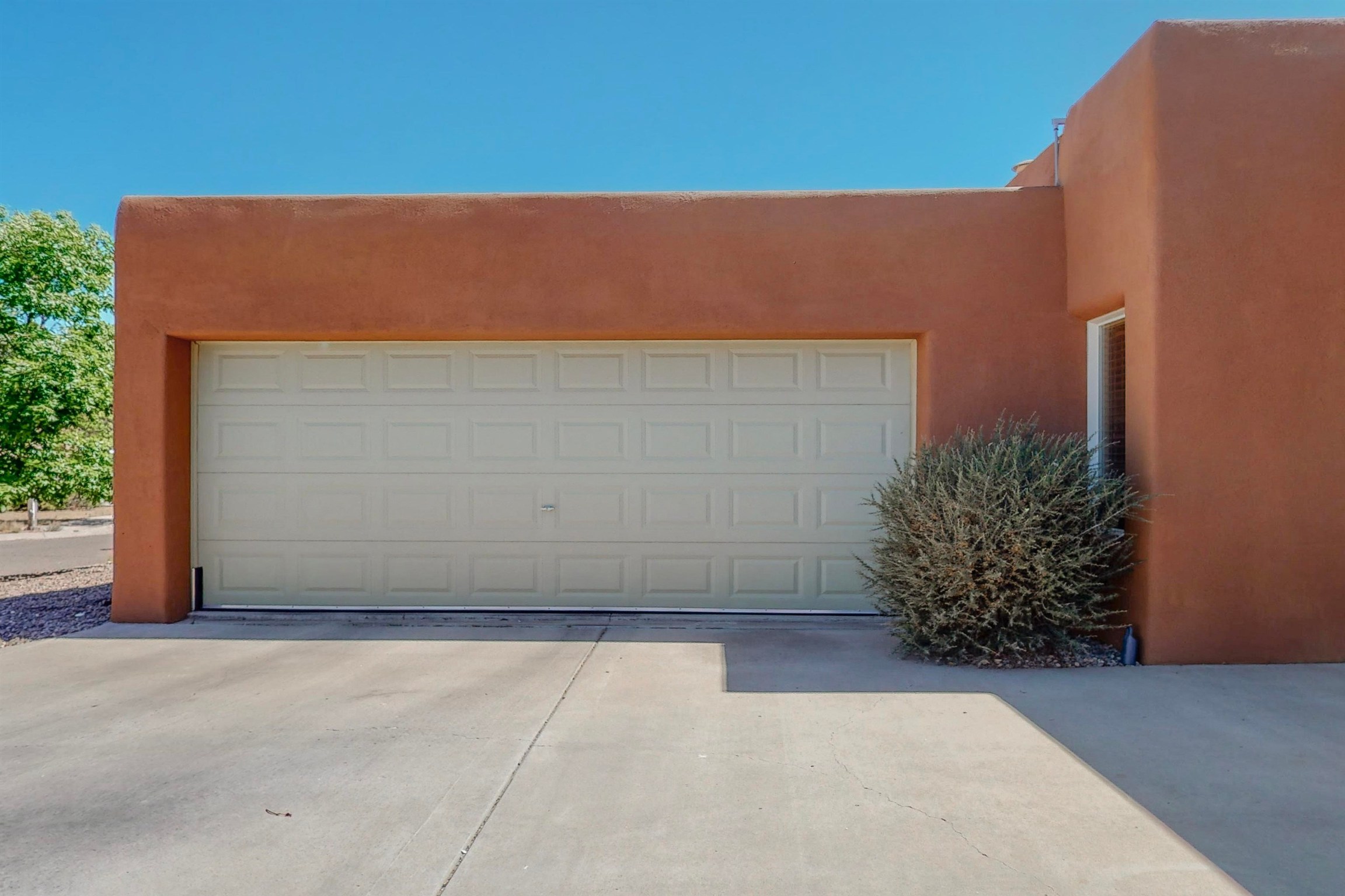 4428 Blue Juniper