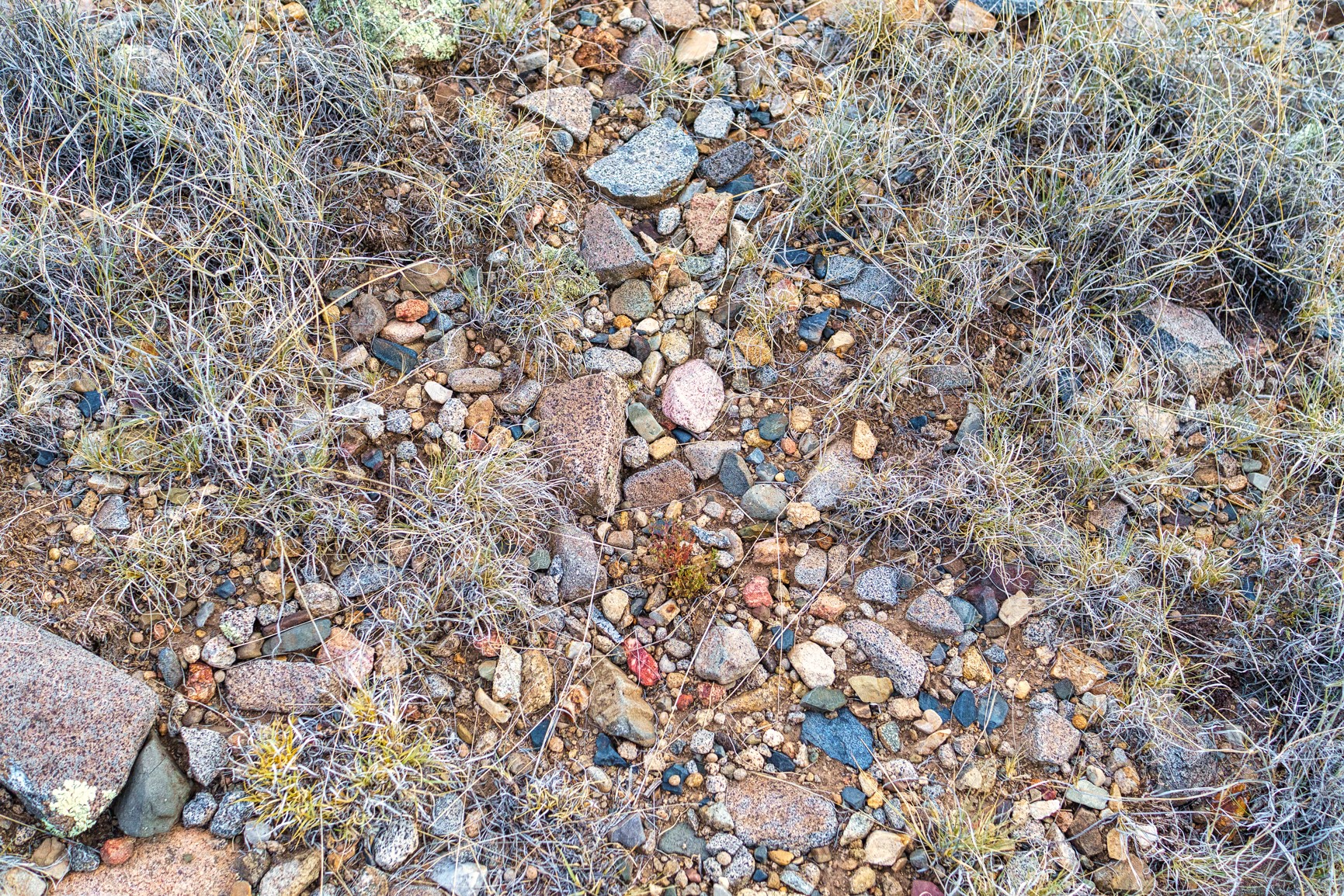 176 Wagon Trail