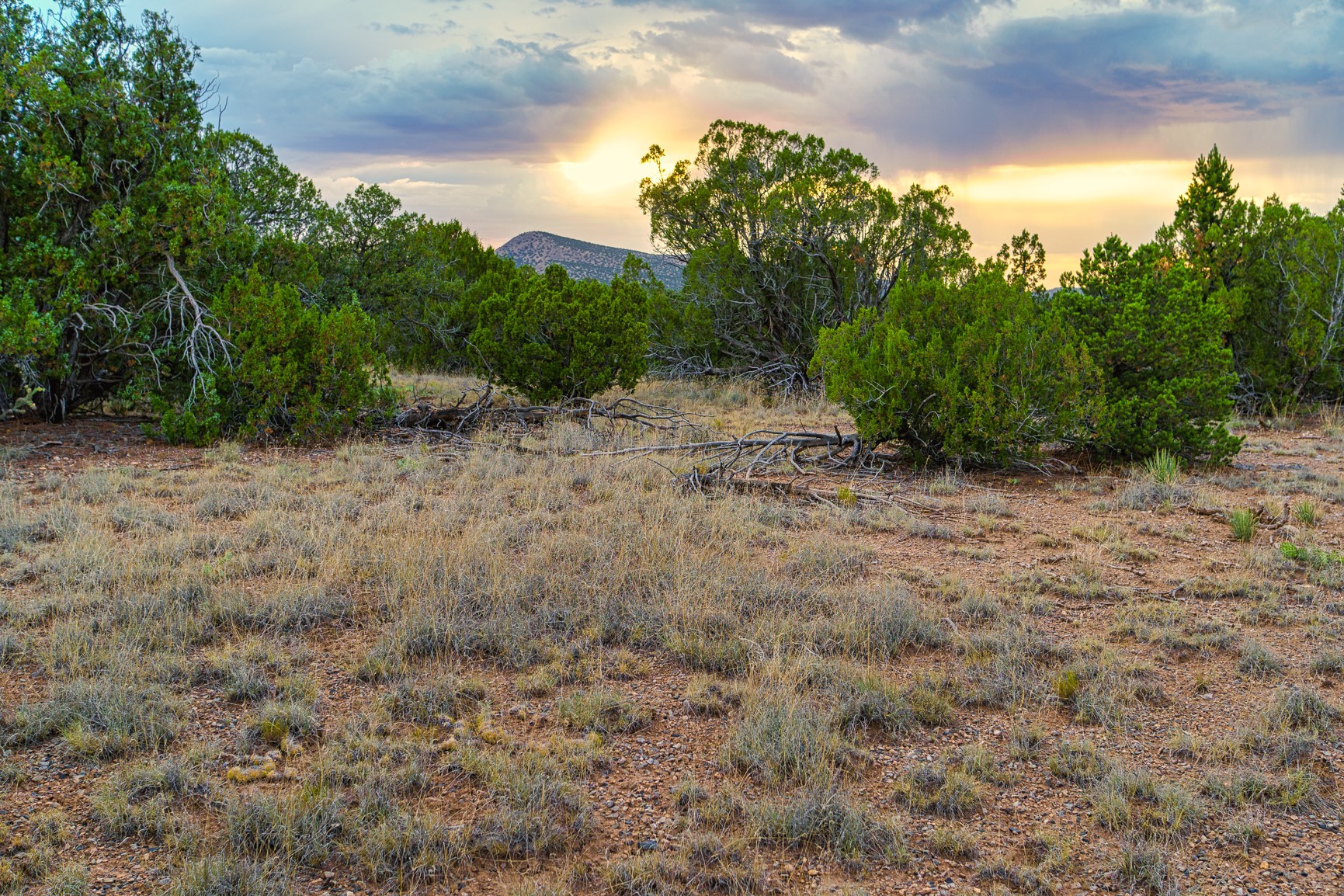 176 Wagon Trail