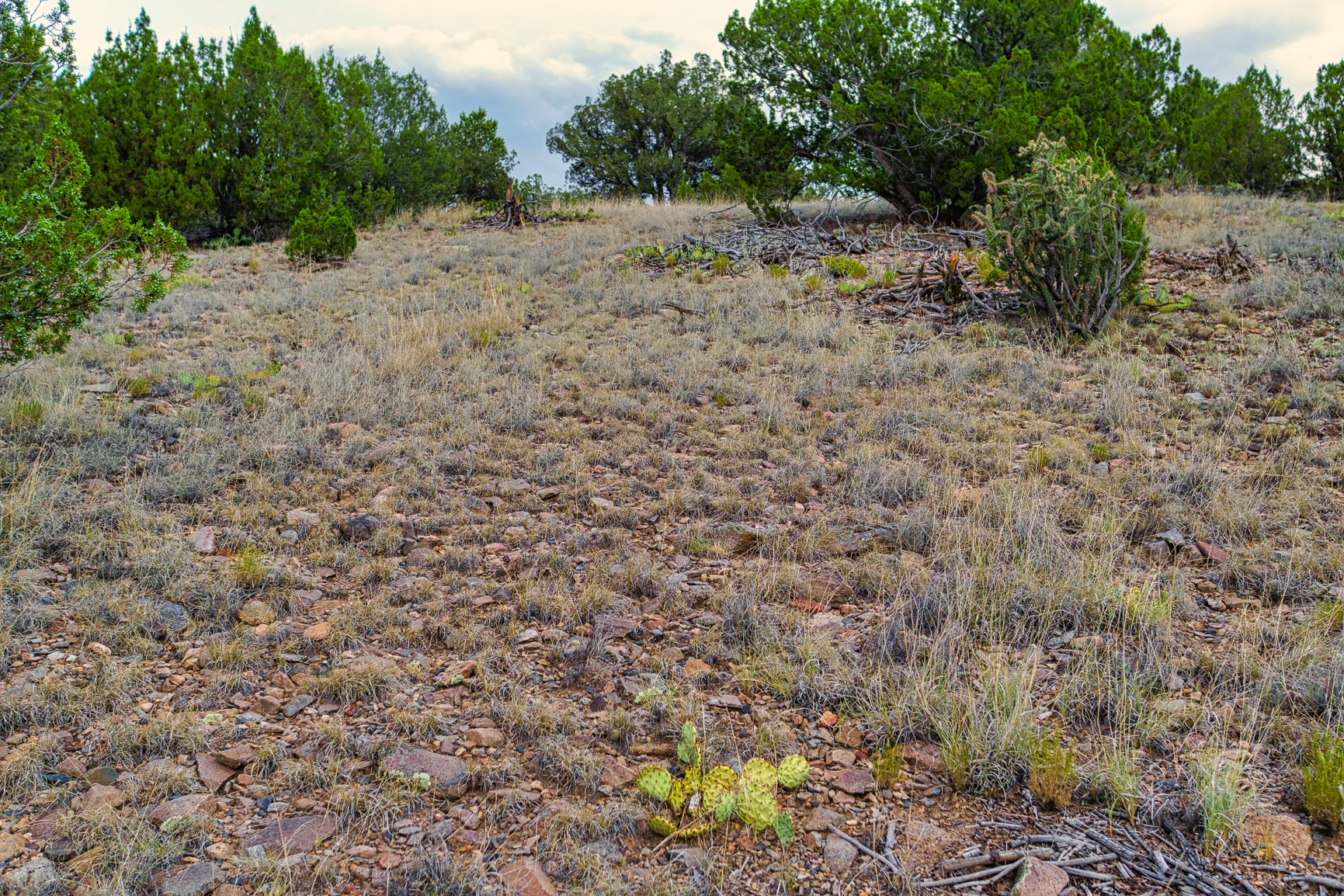 176 Wagon Trail