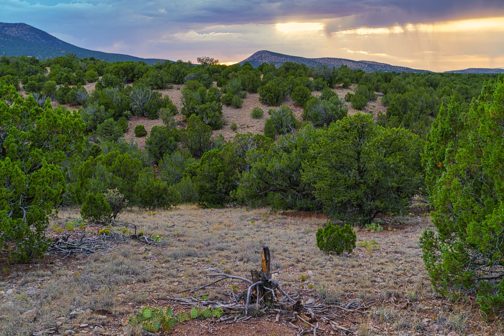 176 Wagon Trail