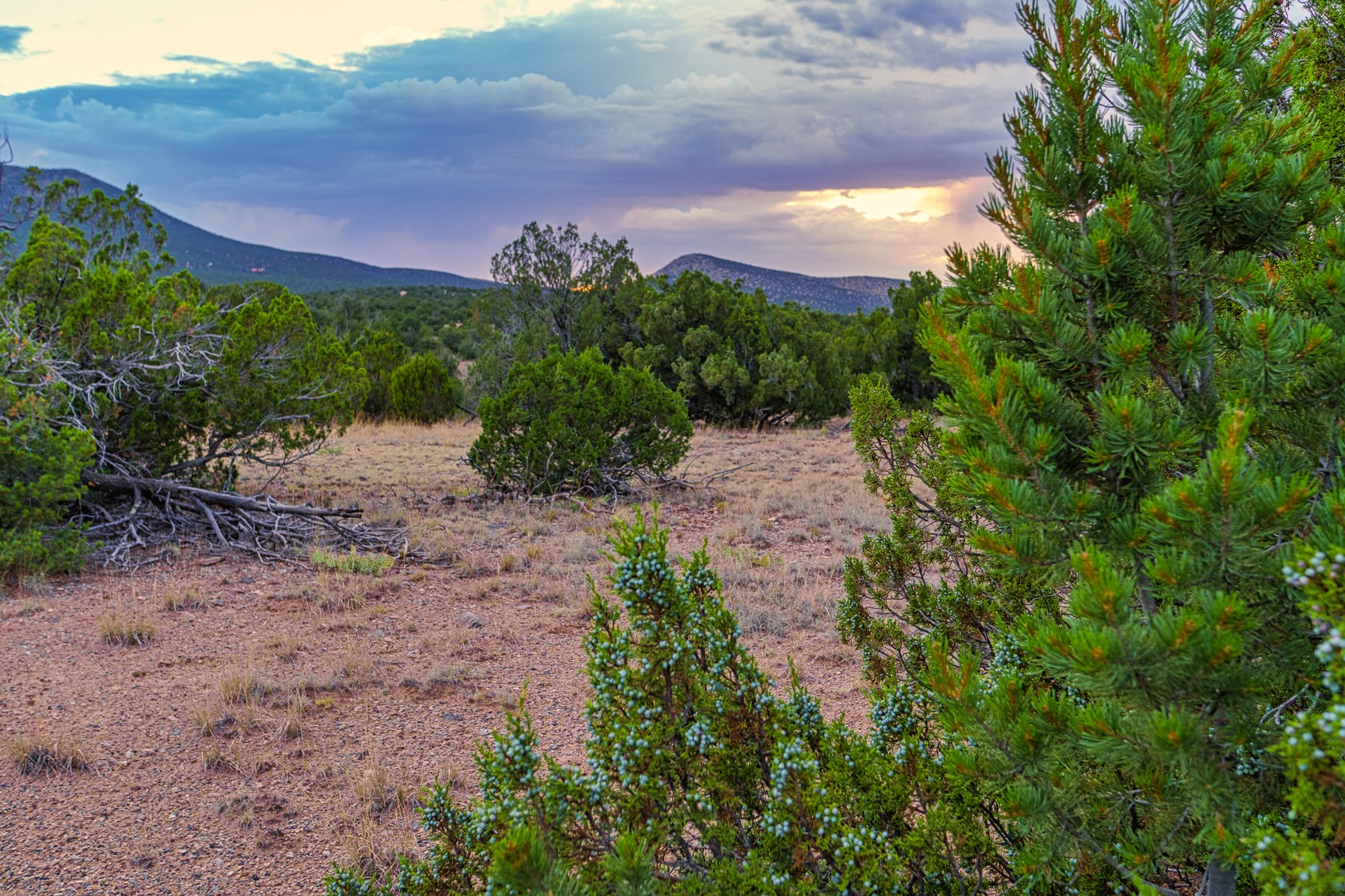 176 Wagon Trail