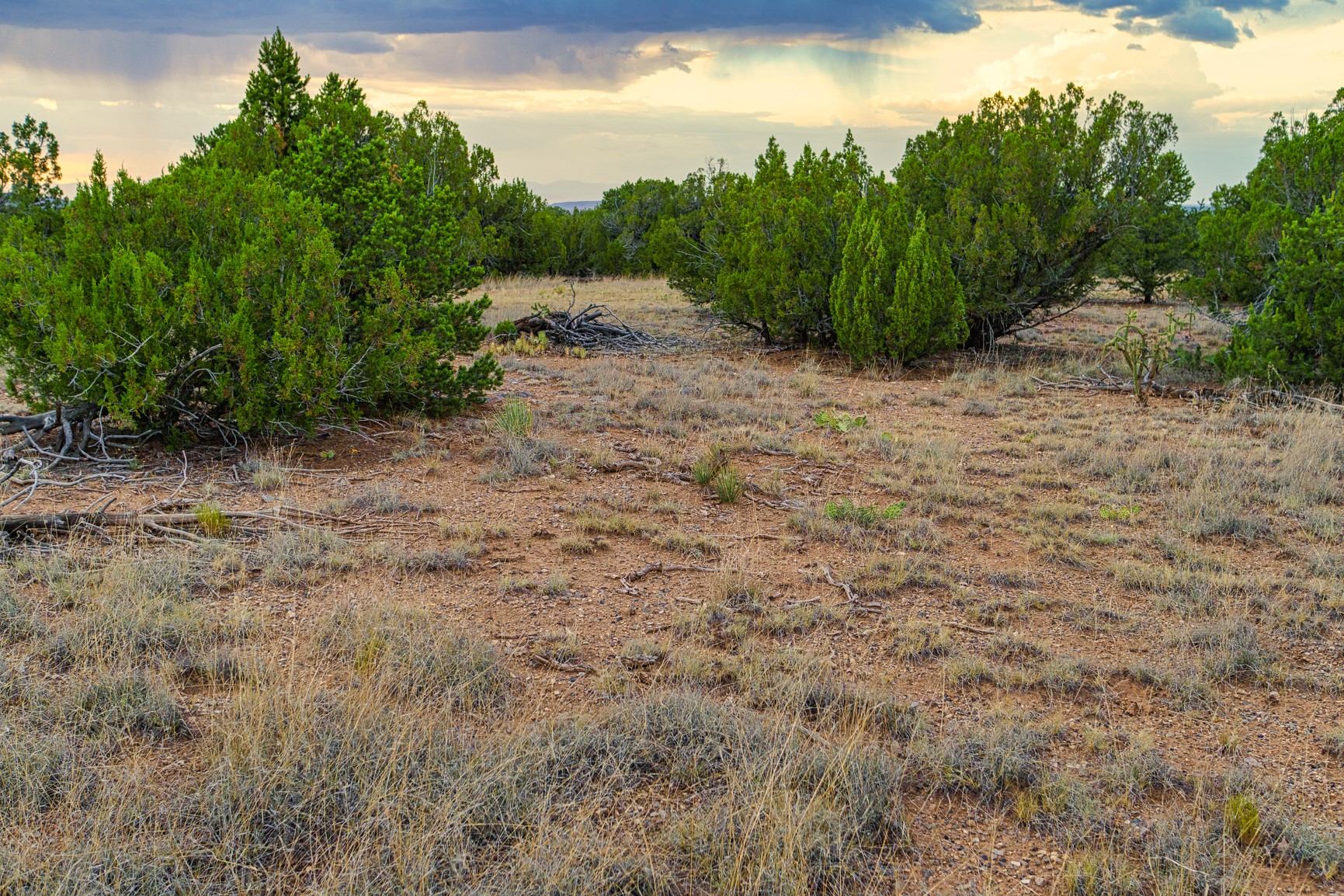176 Wagon Trail
