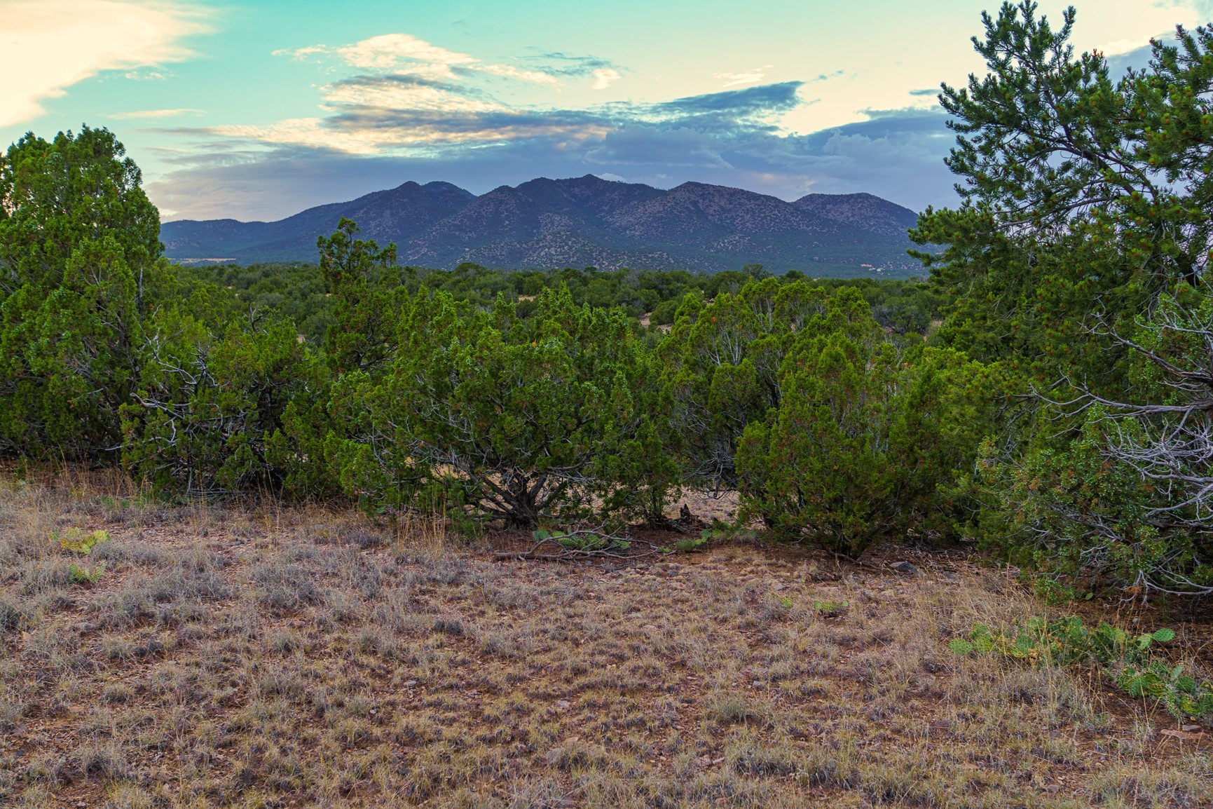 176 Wagon Trail