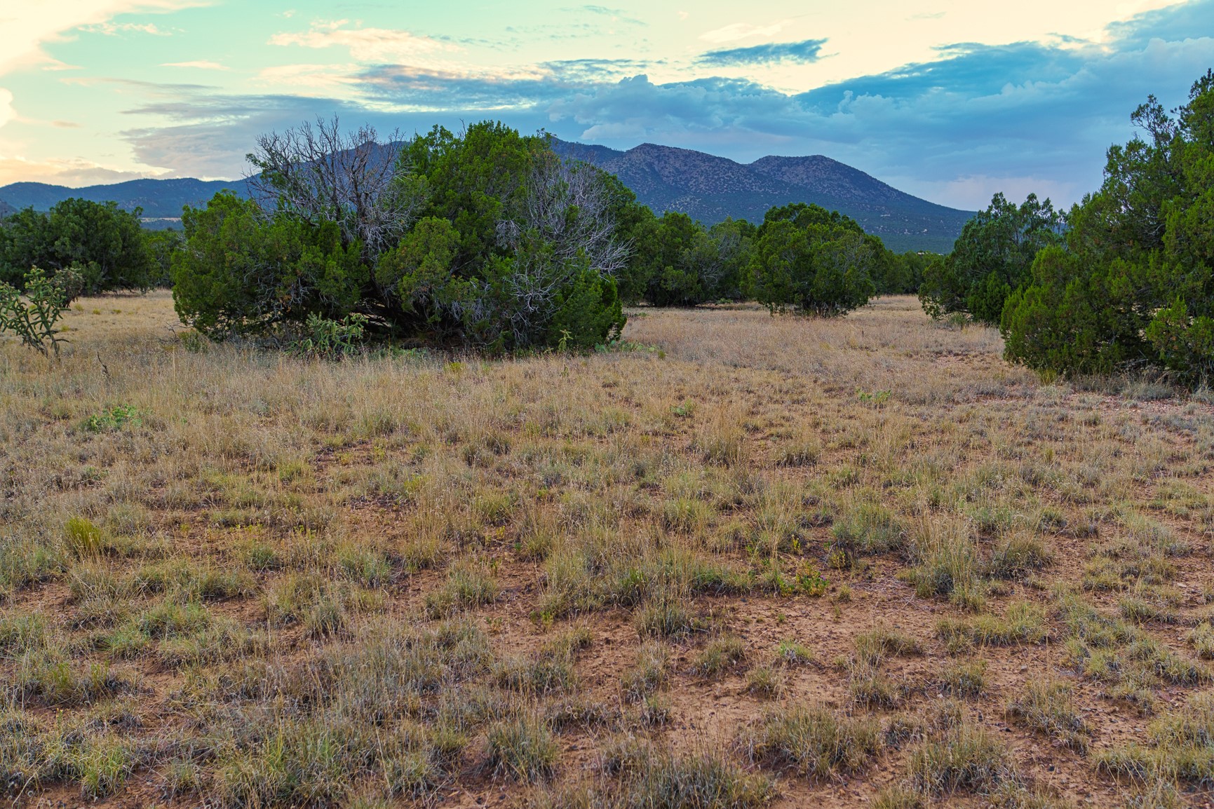 176 Wagon Trail