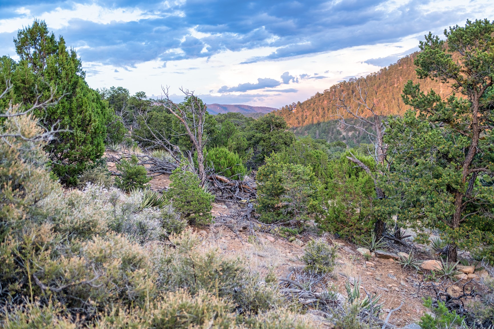 103 Coyote Mountain Road