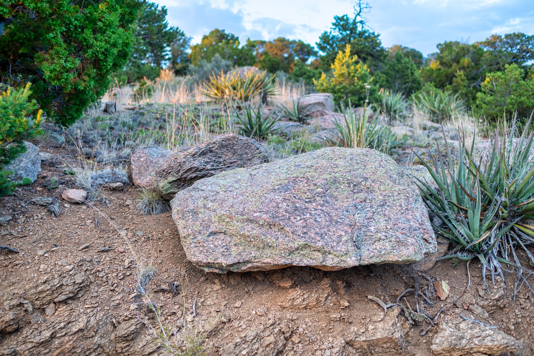 103 Coyote Mountain Road