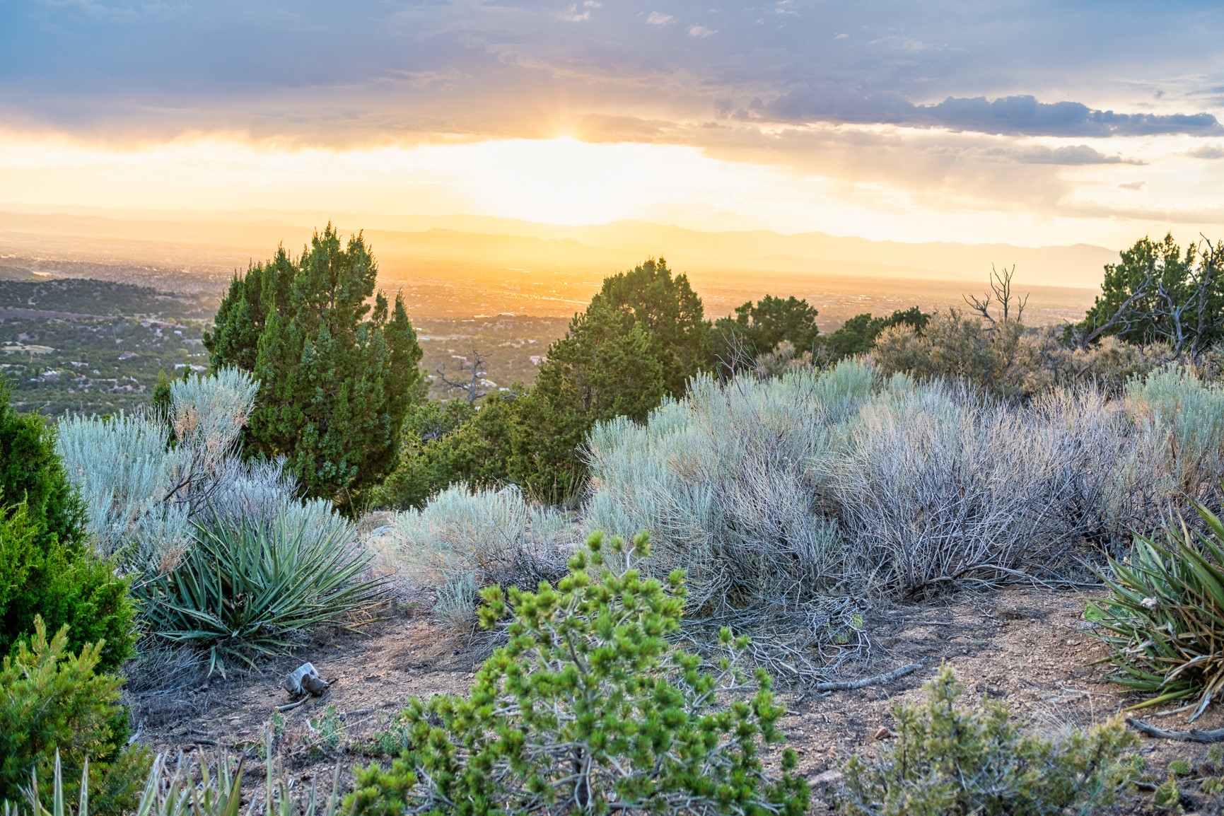 103 Coyote Mountain Road