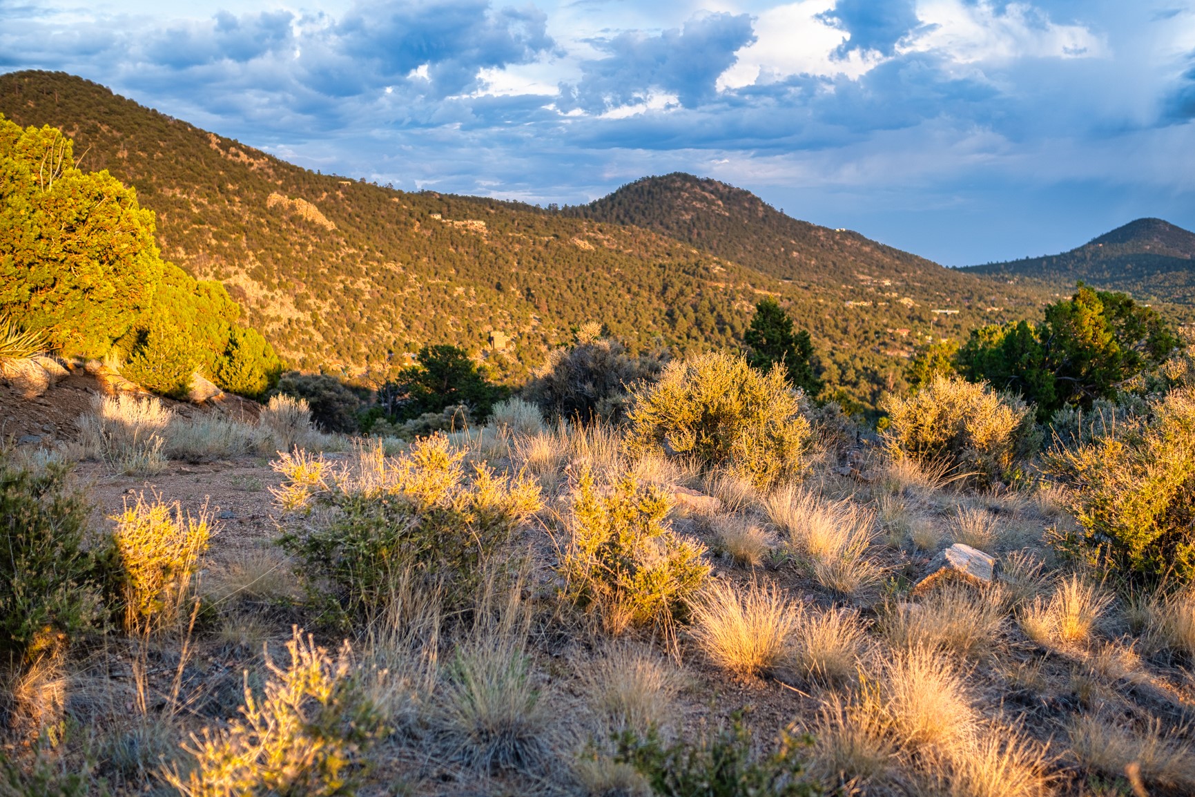 103 Coyote Mountain Road