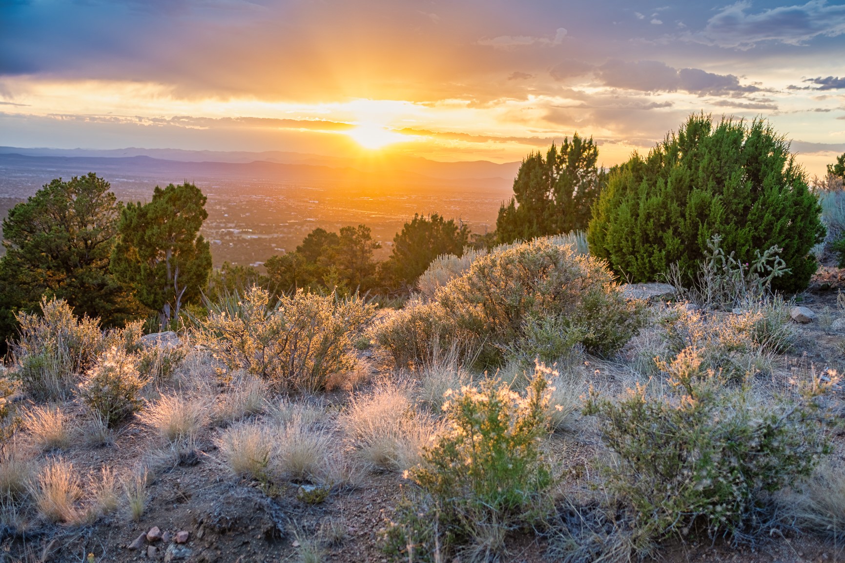103 Coyote Mountain Road
