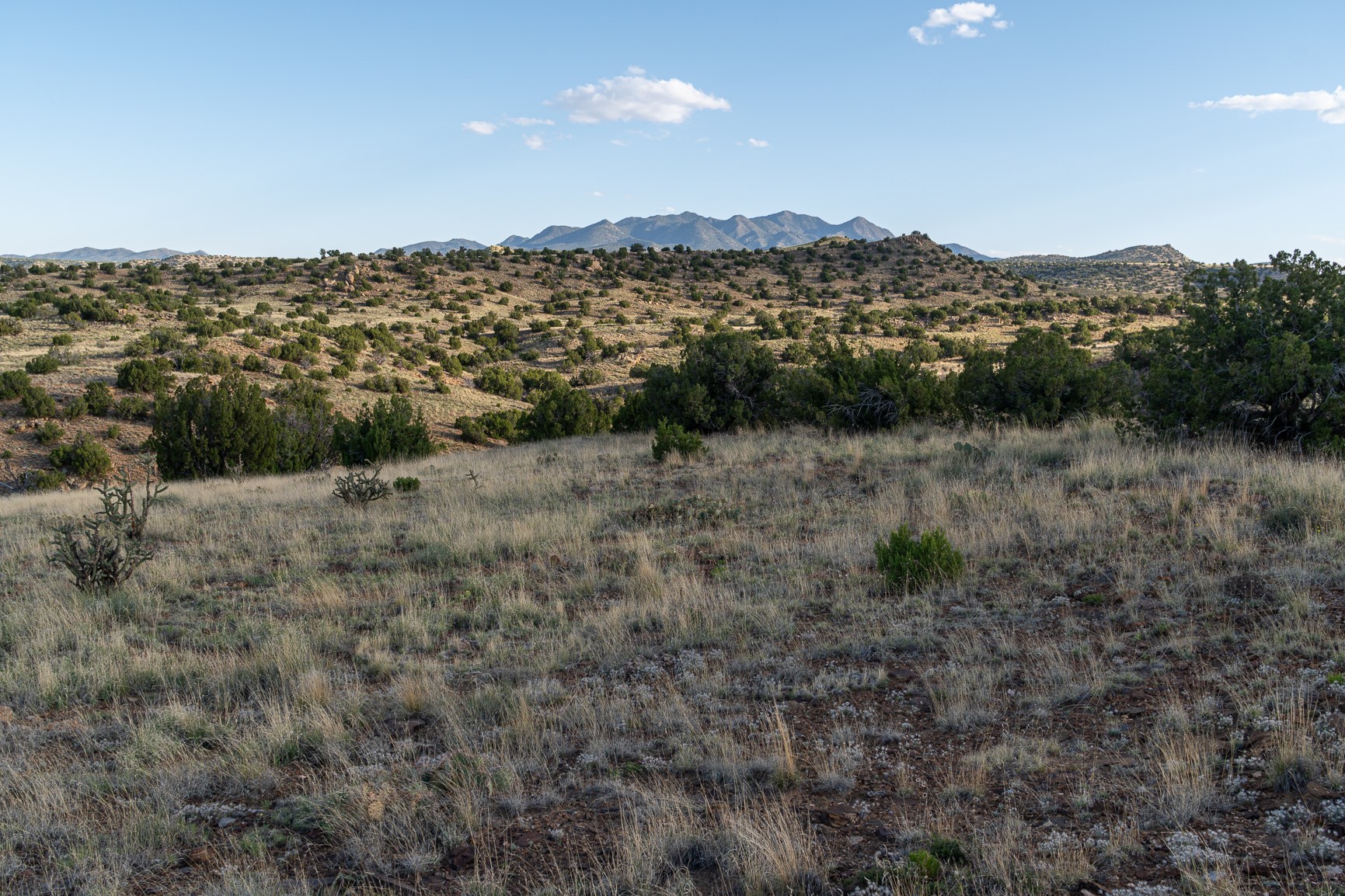 99 Acres Rogersville
