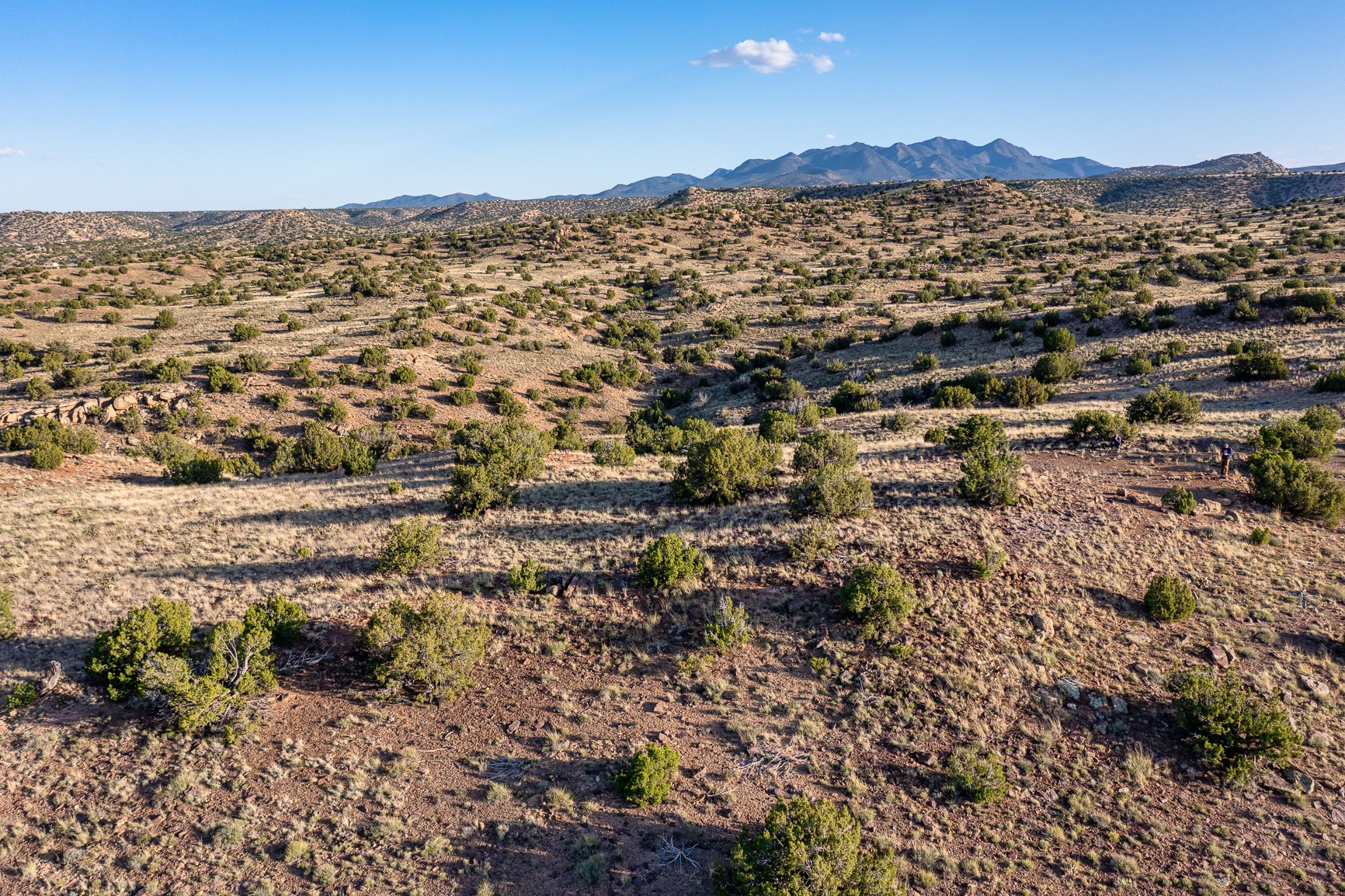 99 Acres Rogersville