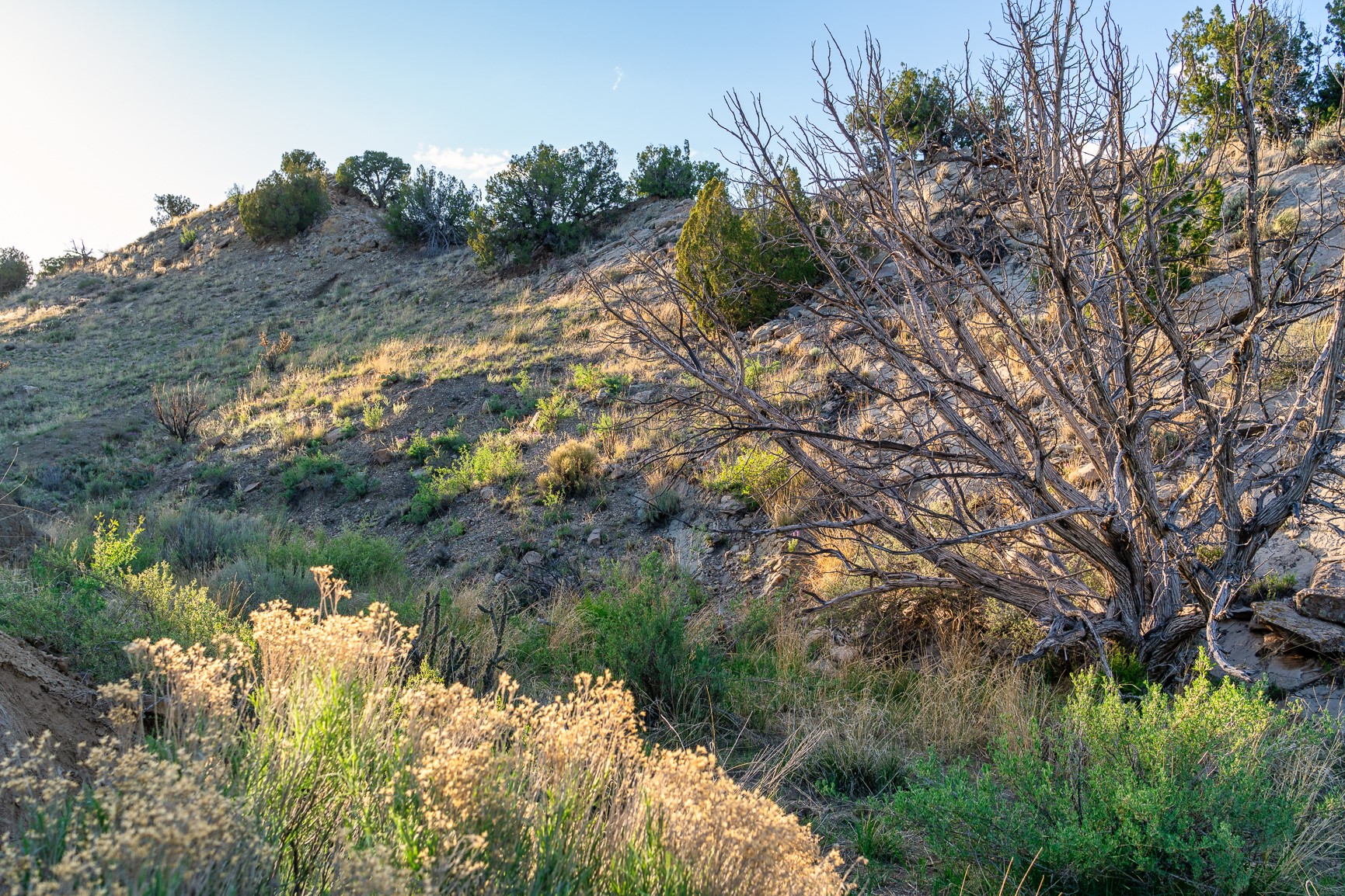 99 Acres Rogersville