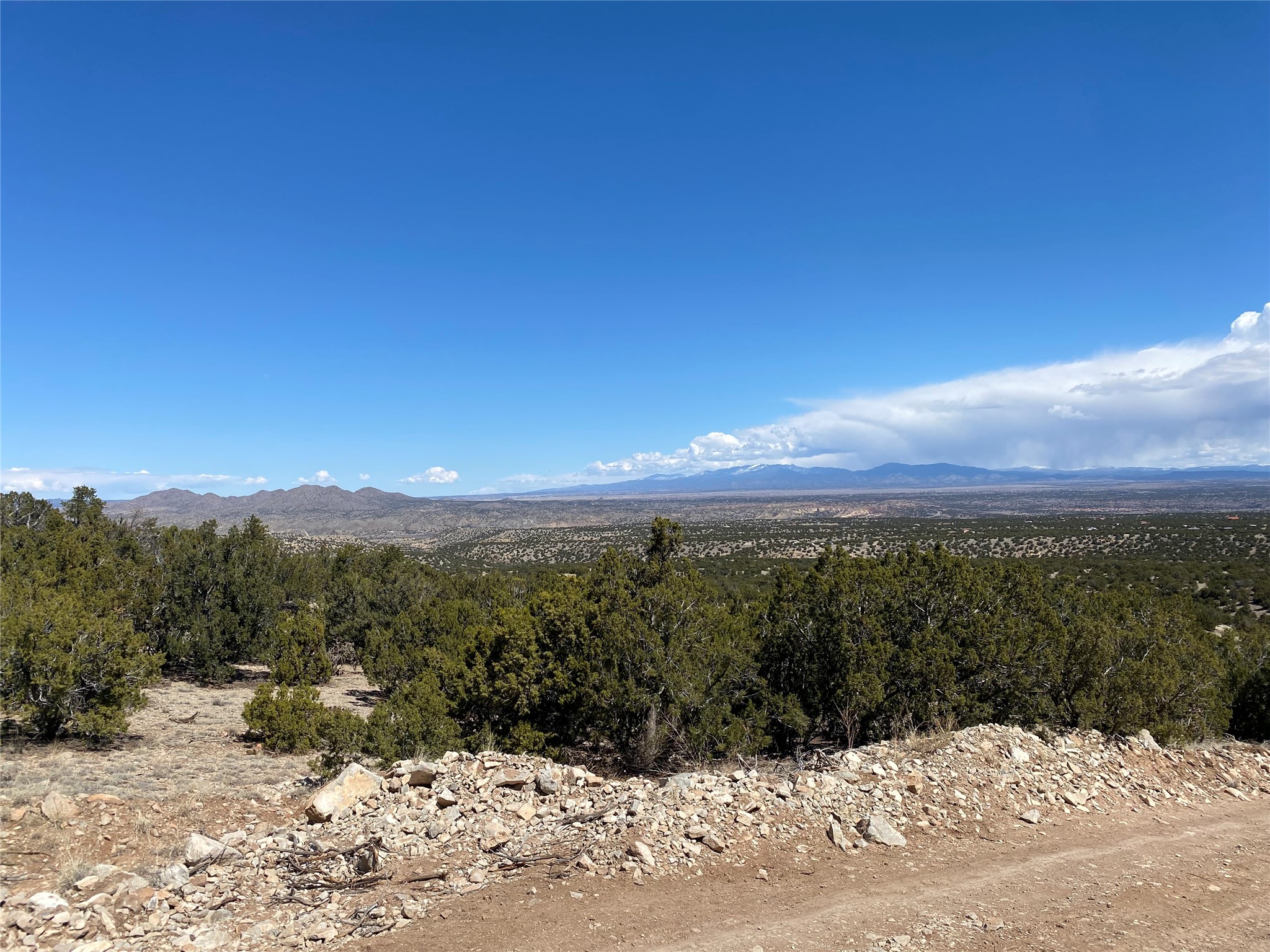 40 Wild Mountain