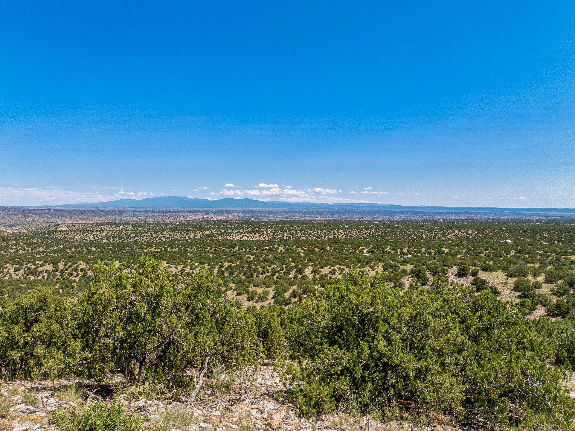 40 Wild Mountain