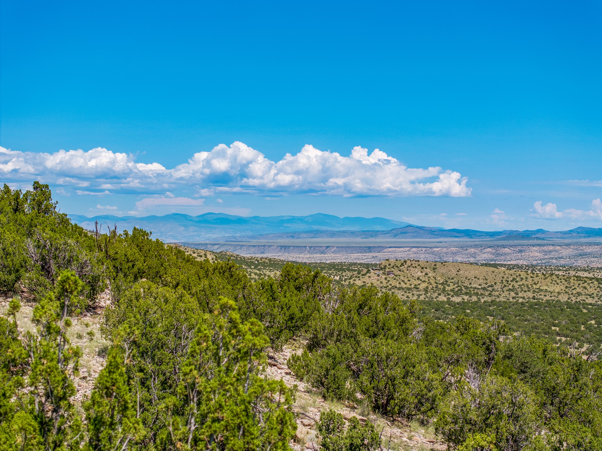 40 Wild Mountain