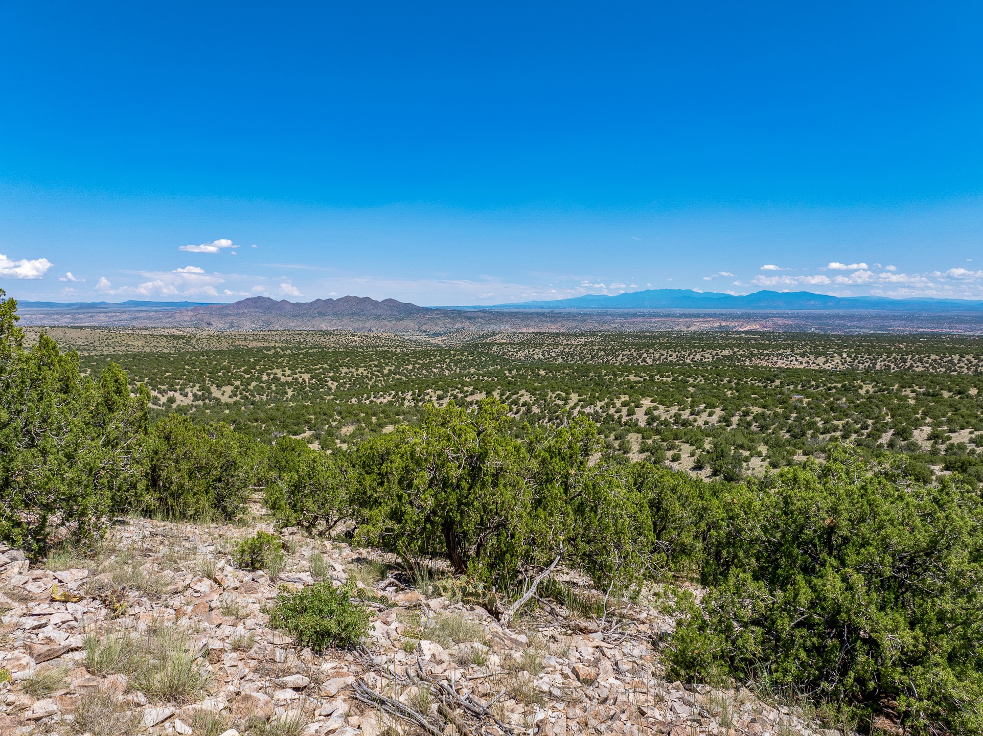 40 Wild Mountain