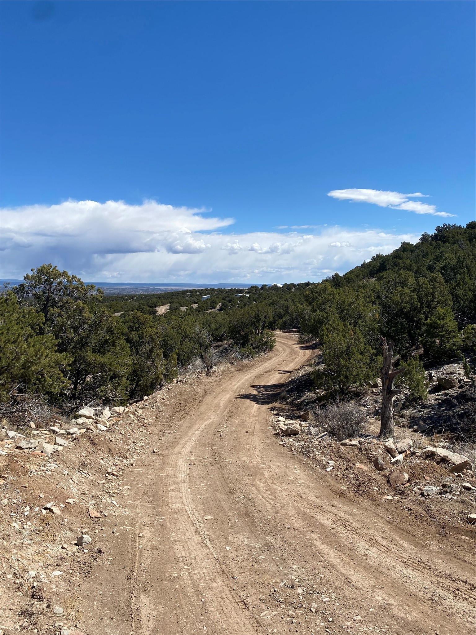 40 Wild Mountain