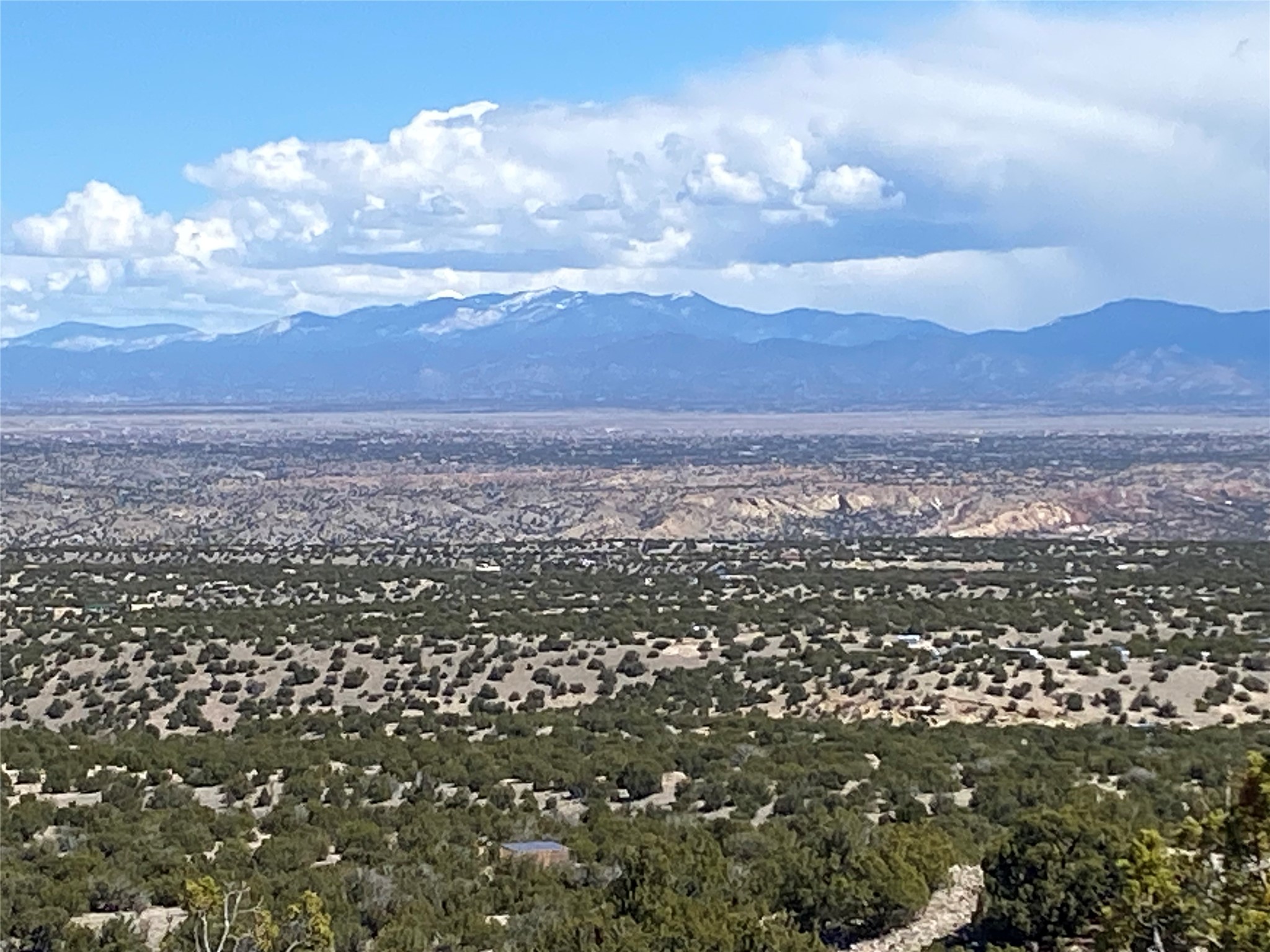 40 Wild Mountain