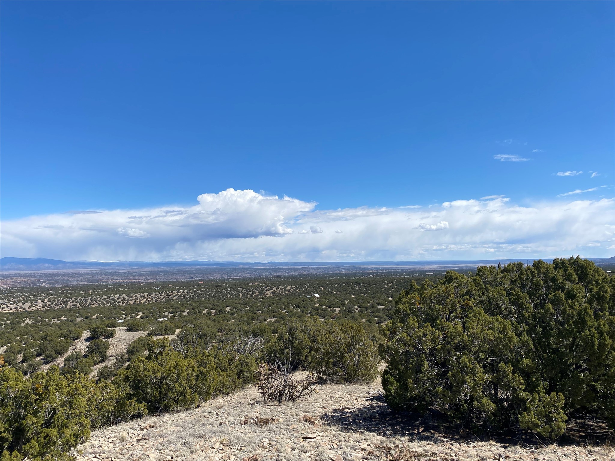 40 Wild Mountain