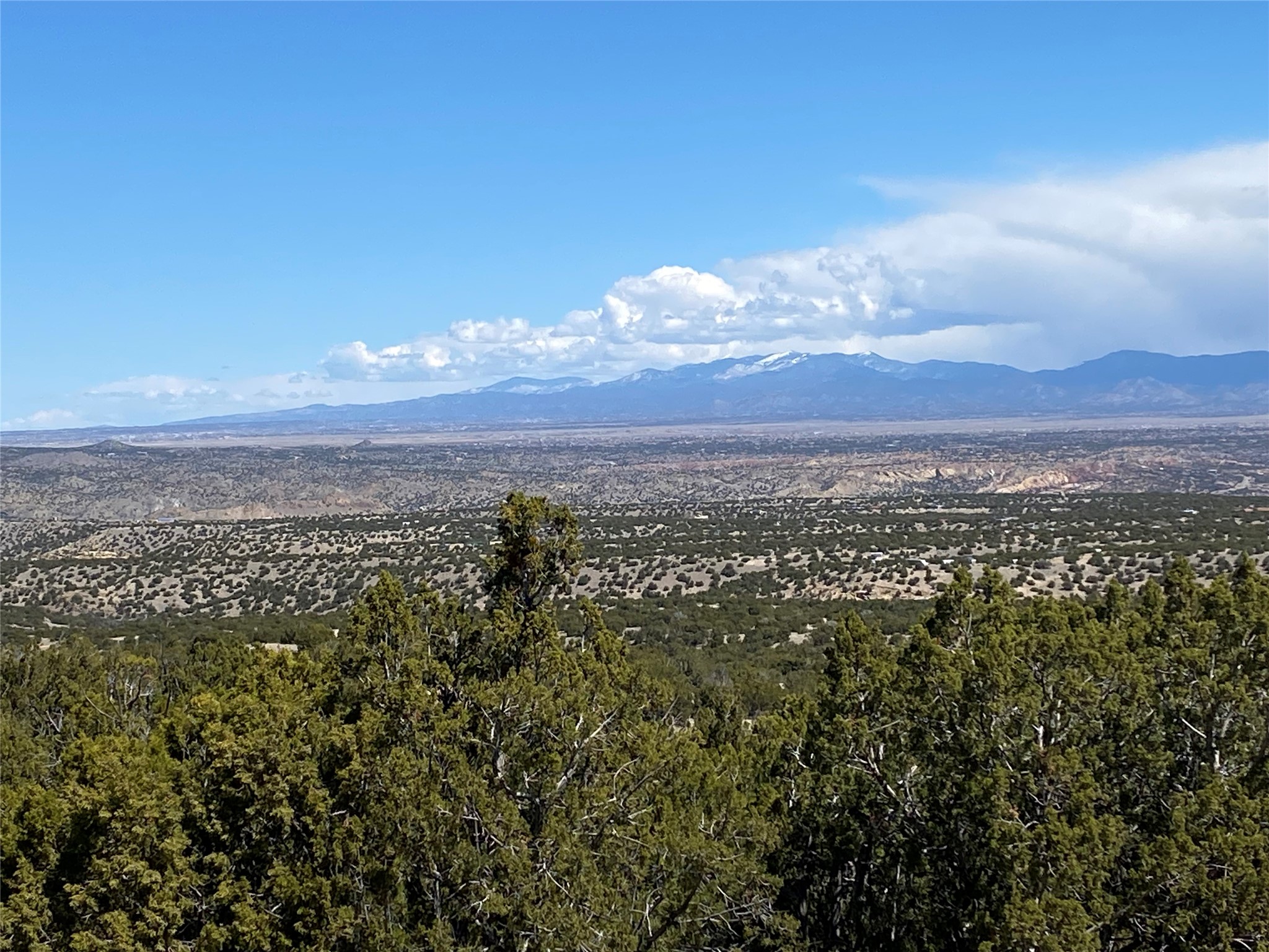 40 Wild Mountain