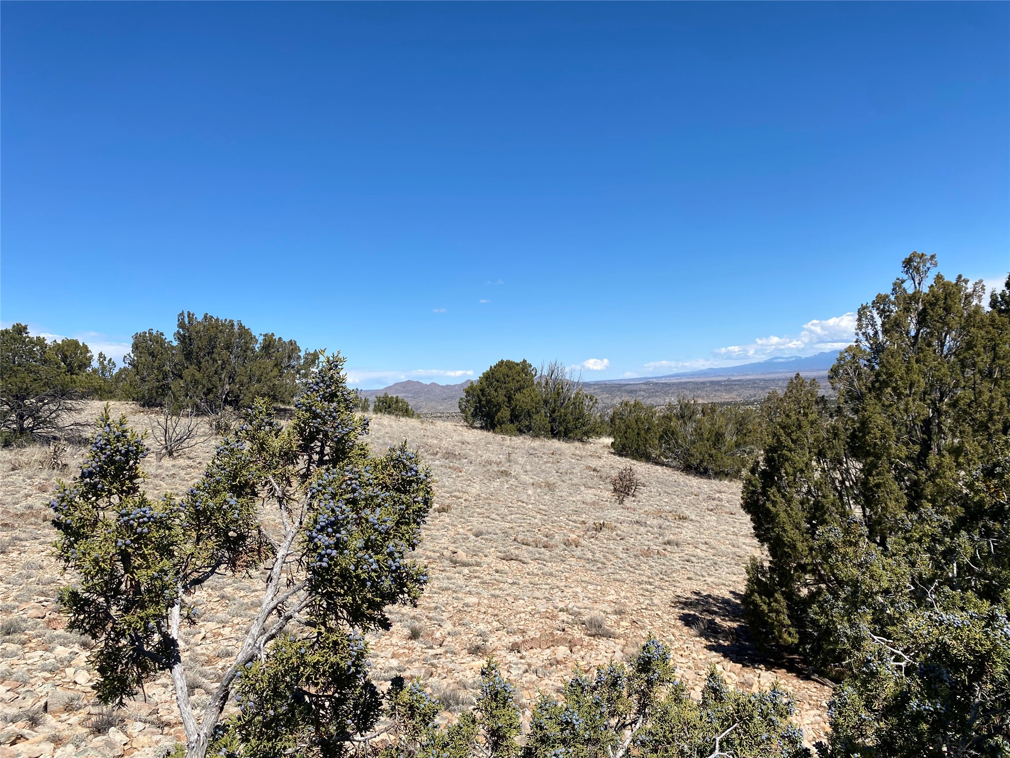 40 Wild Mountain