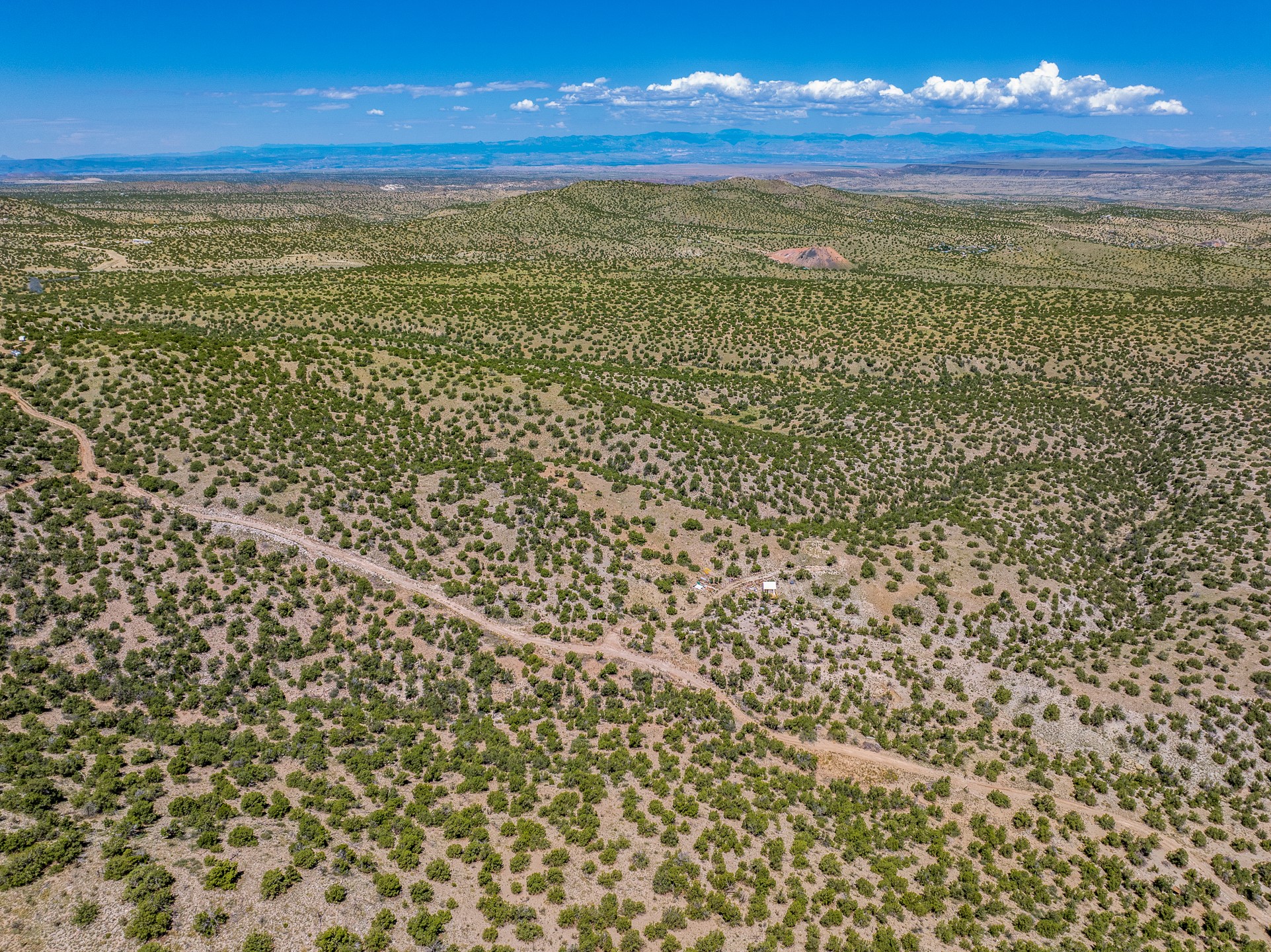 40 Wild Mountain