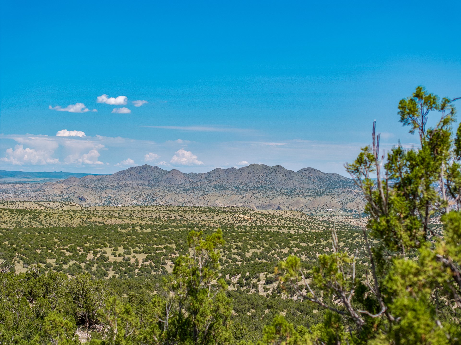 40 Wild Mountain