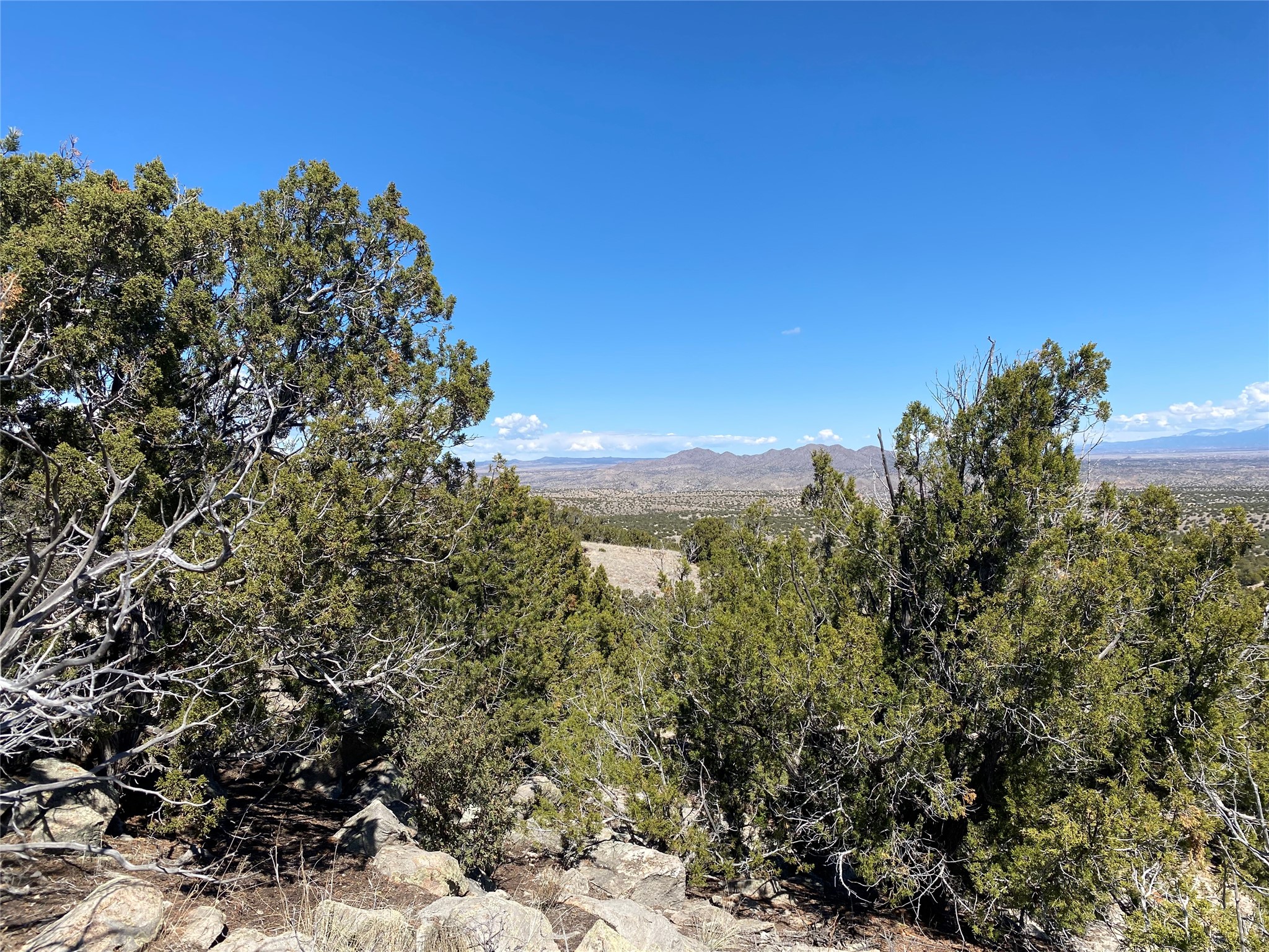 40 Wild Mountain