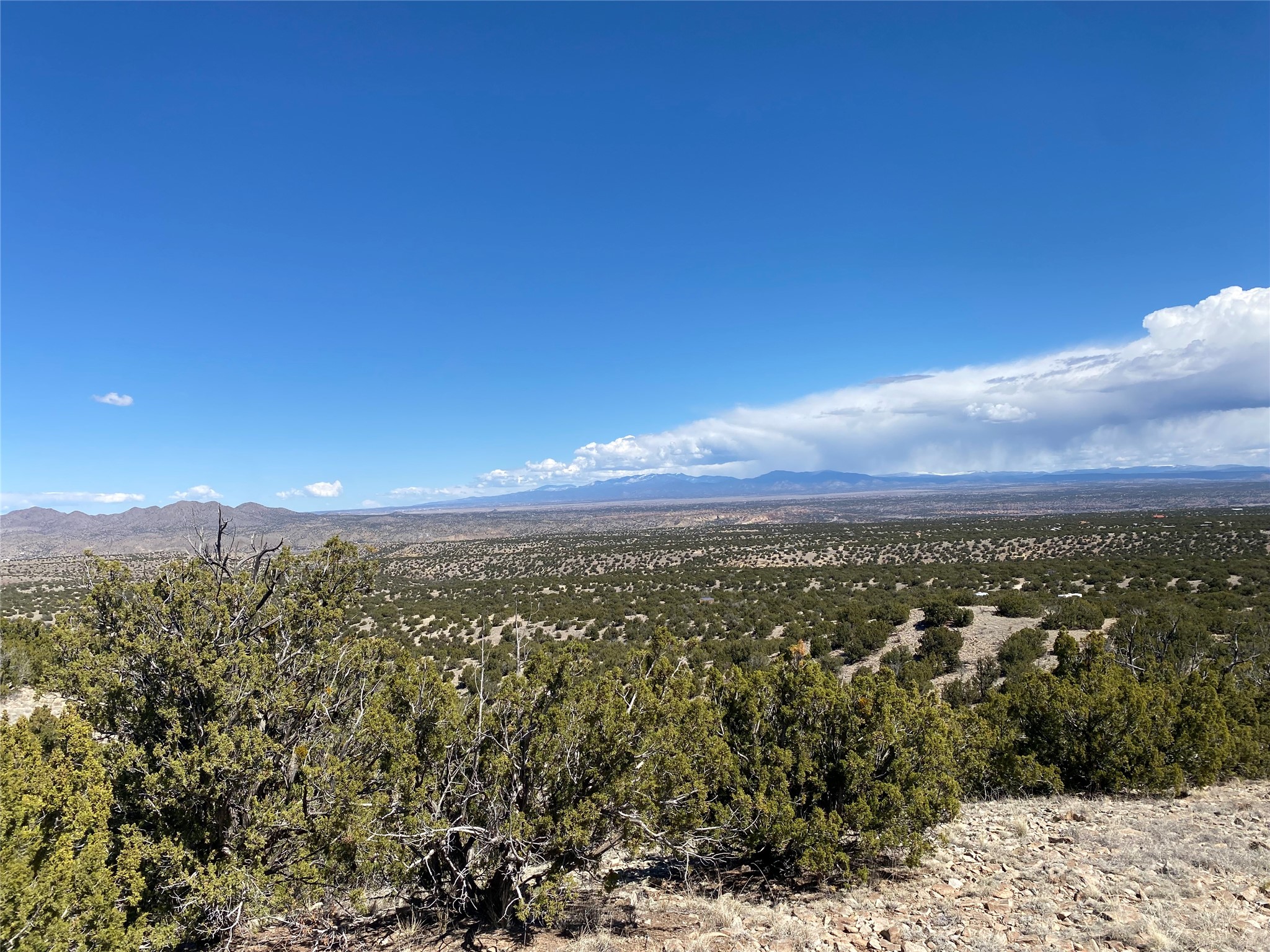 40 Wild Mountain