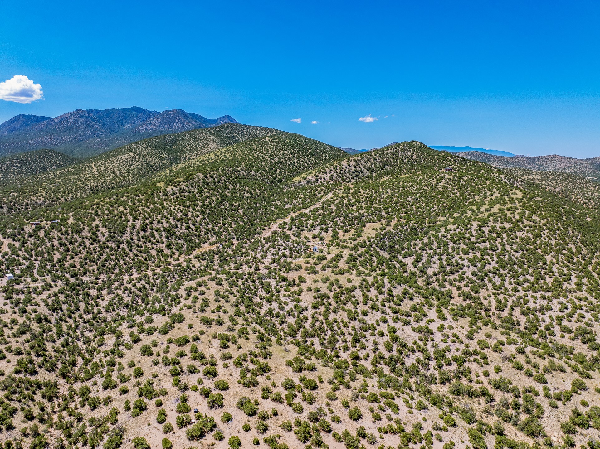 40 Wild Mountain