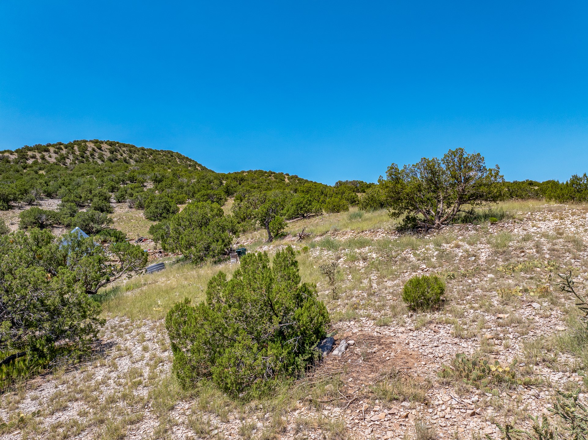 40 Wild Mountain