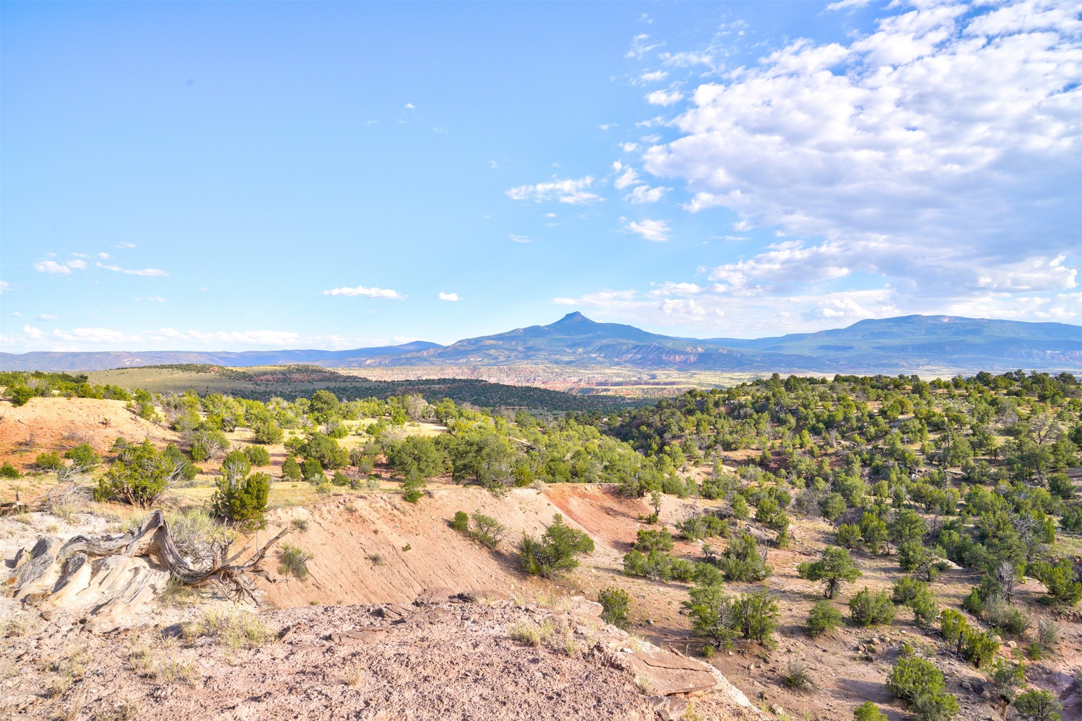 Wilderness Gate Mesa Prieta Rd
