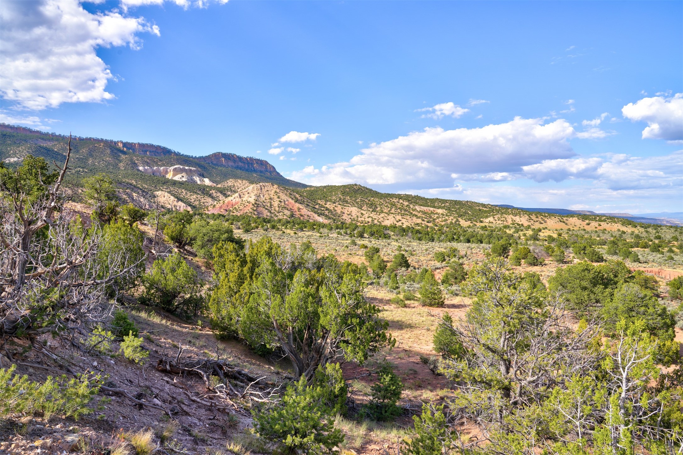 Wilderness Gate Mesa Prieta Rd