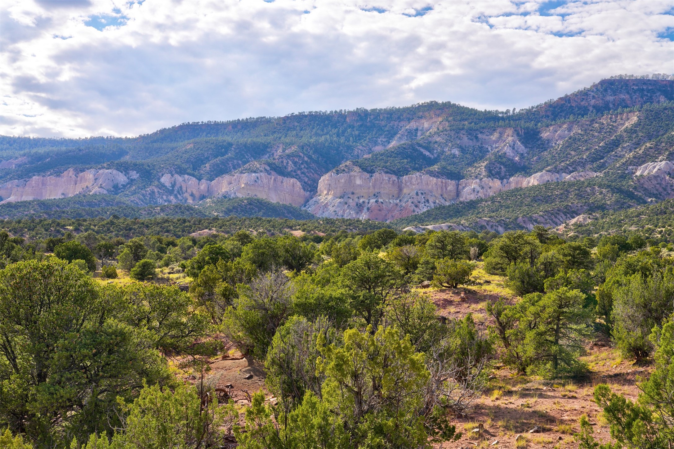 Wilderness Gate Mesa Prieta Rd