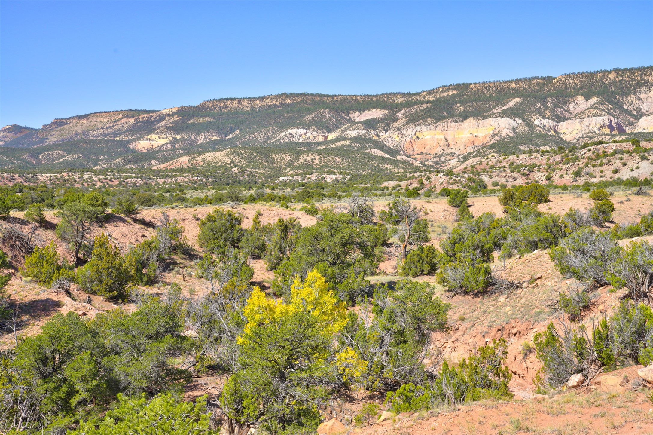 Wilderness Gate Mesa Prieta Rd