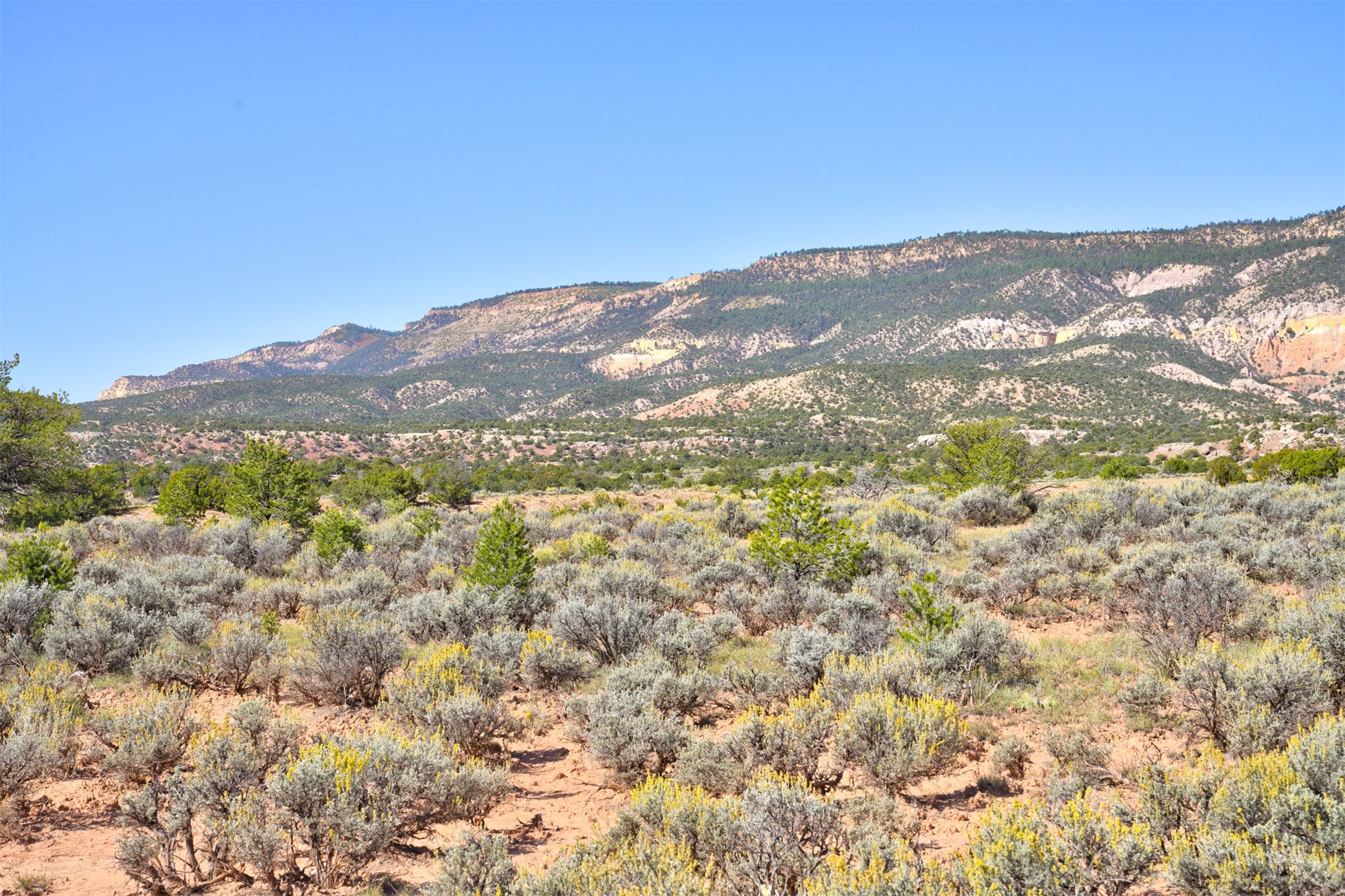 Wilderness Gate Mesa Prieta Rd