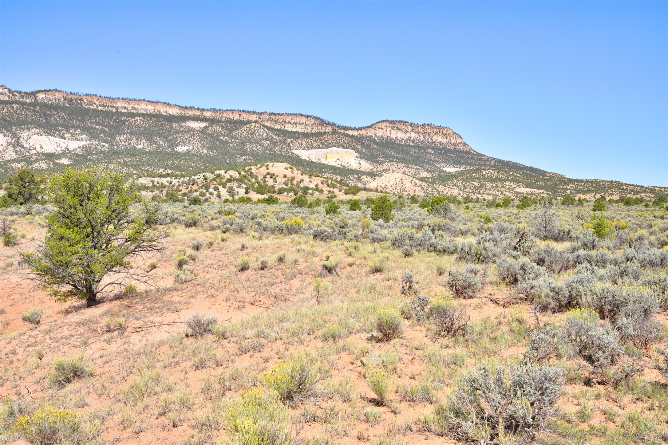 Wilderness Gate Mesa Prieta Rd