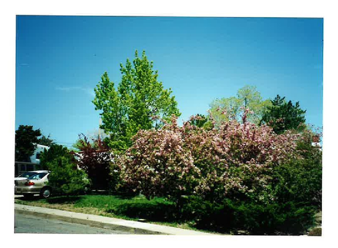 223 Sereno Drive