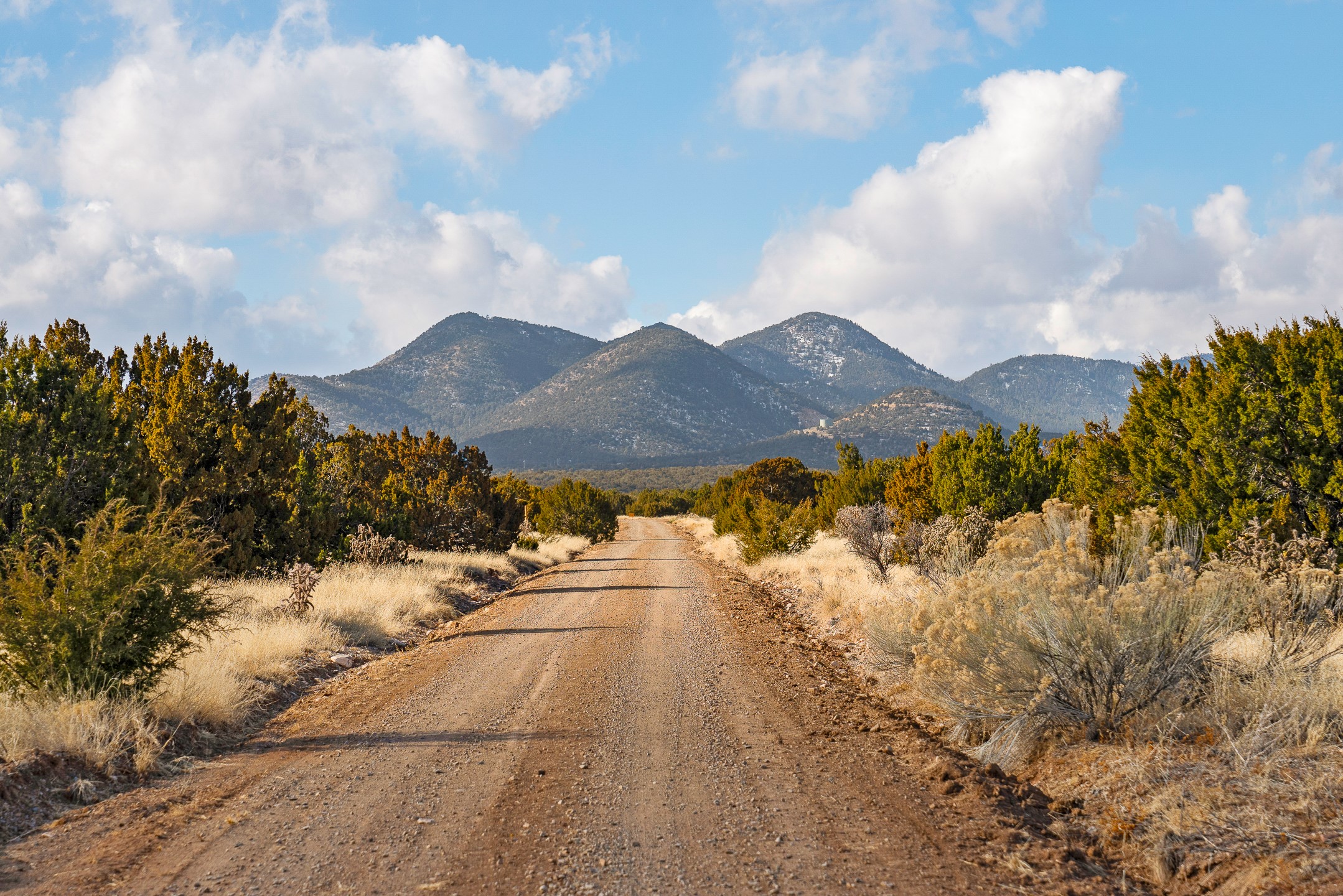 156 Wagon Trail