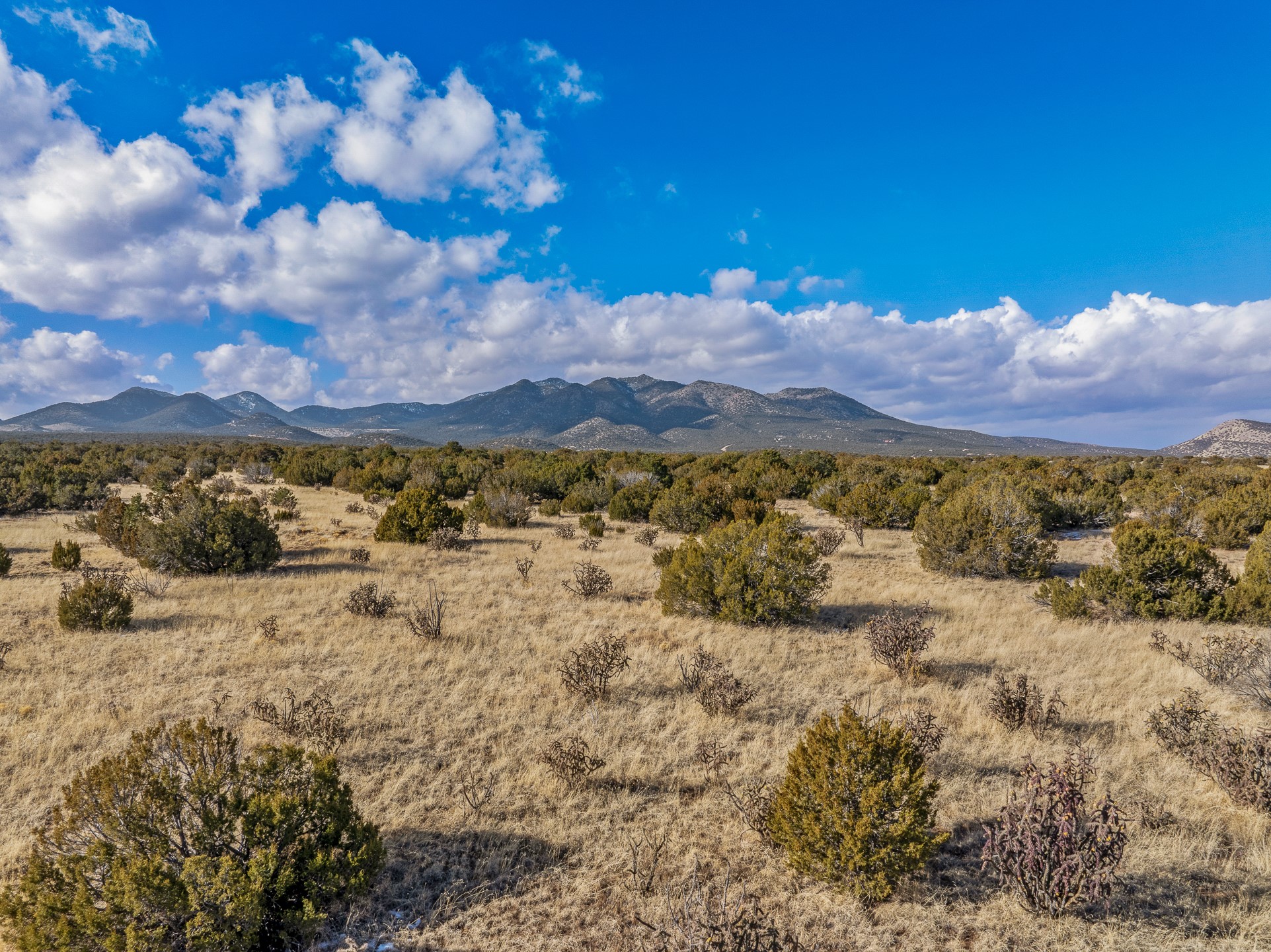 156 Wagon Trail