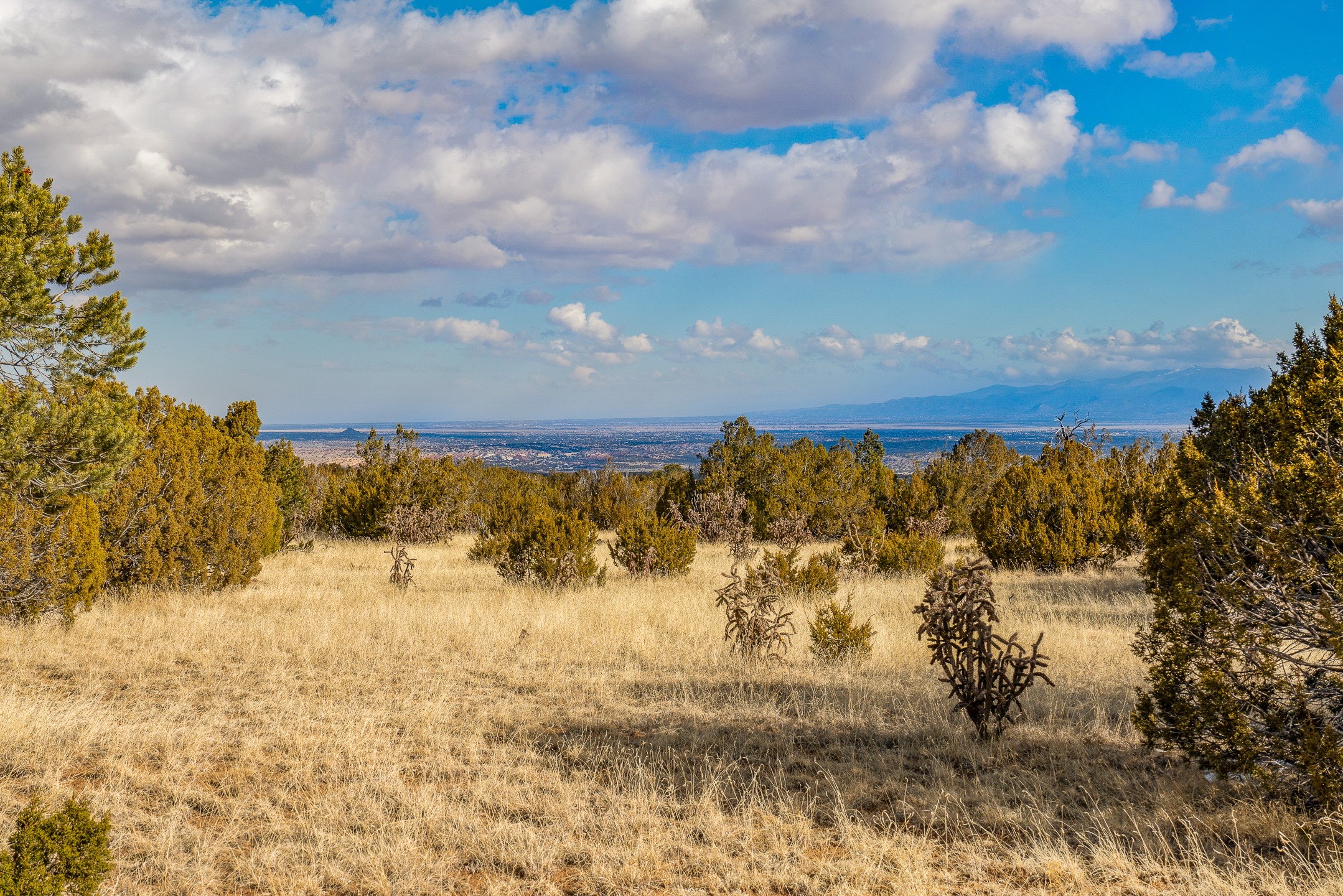 156 Wagon Trail