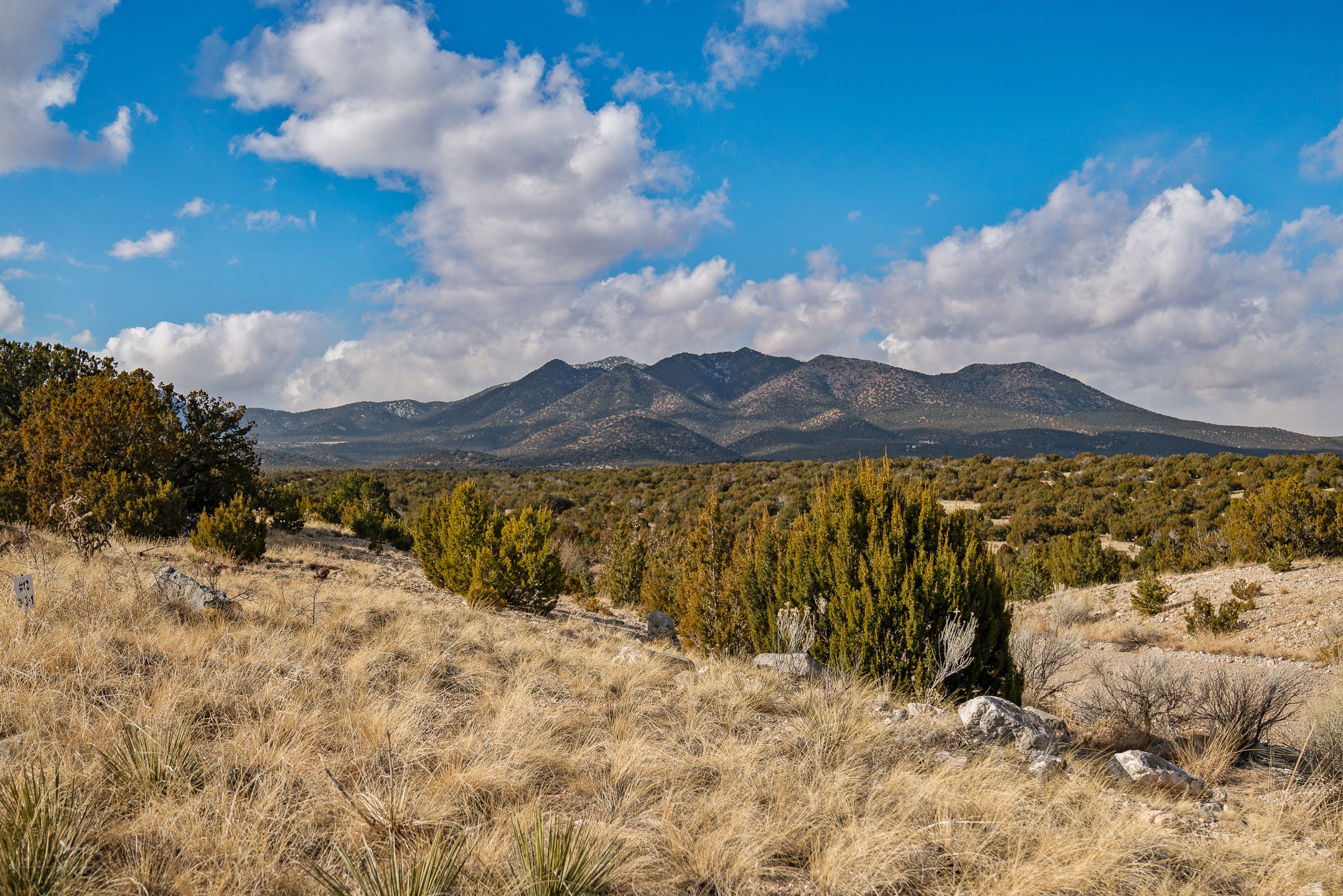 156 Wagon Trail